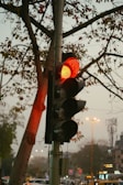 A traffic light is prominently displayed with the red light illuminated, indicating a stop signal. Surrounding the traffic light are trees with sparse leaves, suggesting a fall season. In the background, there are several streetlights and vehicles, hinting at an urban setting.