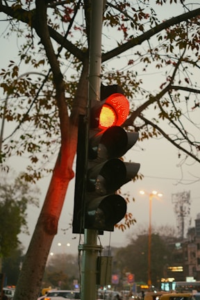 A traffic light is prominently displayed with the red light illuminated, indicating a stop signal. Surrounding the traffic light are trees with sparse leaves, suggesting a fall season. In the background, there are several streetlights and vehicles, hinting at an urban setting.