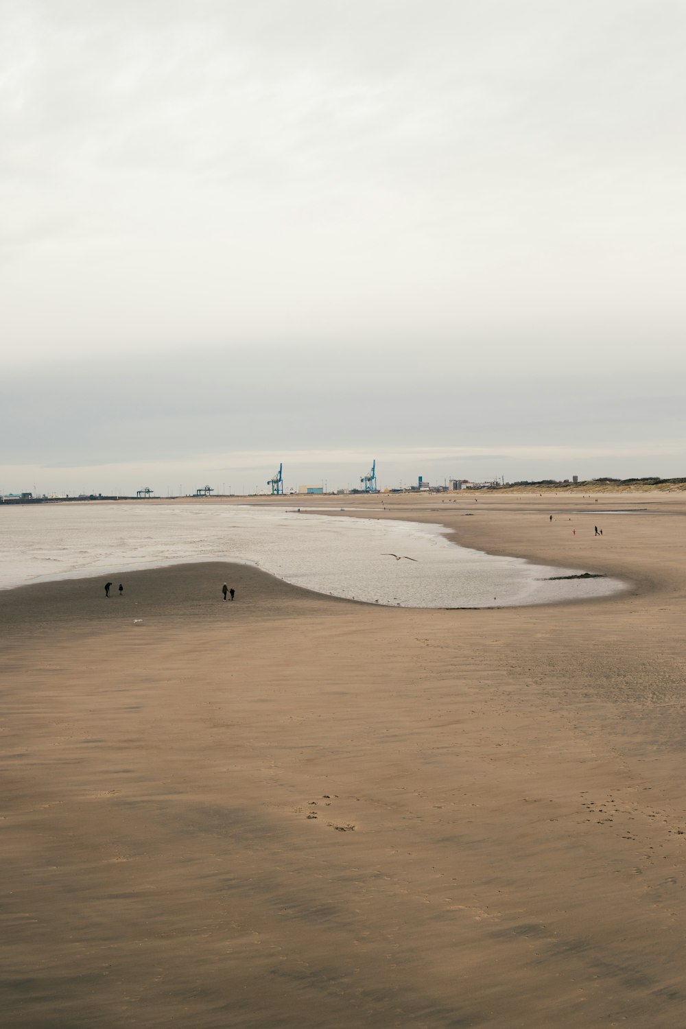 a group of people walking across a sandy beach