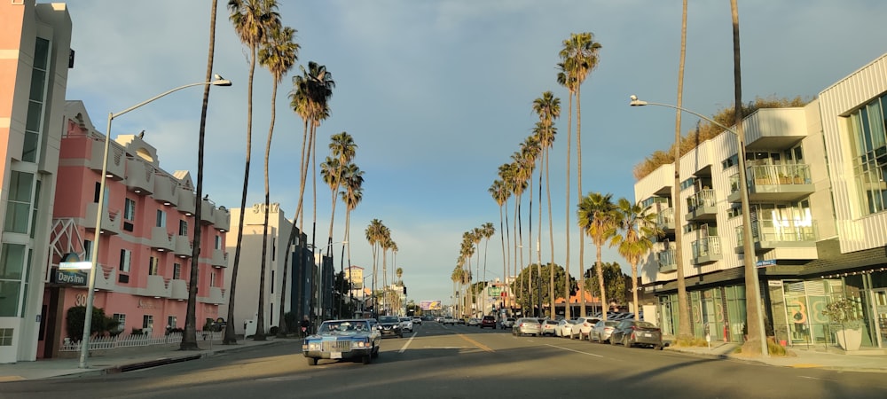 a car driving down a street lined with palm trees