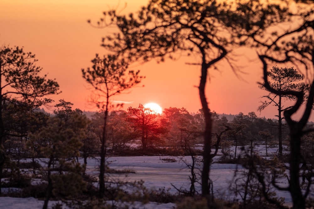 the sun is setting over a snowy field