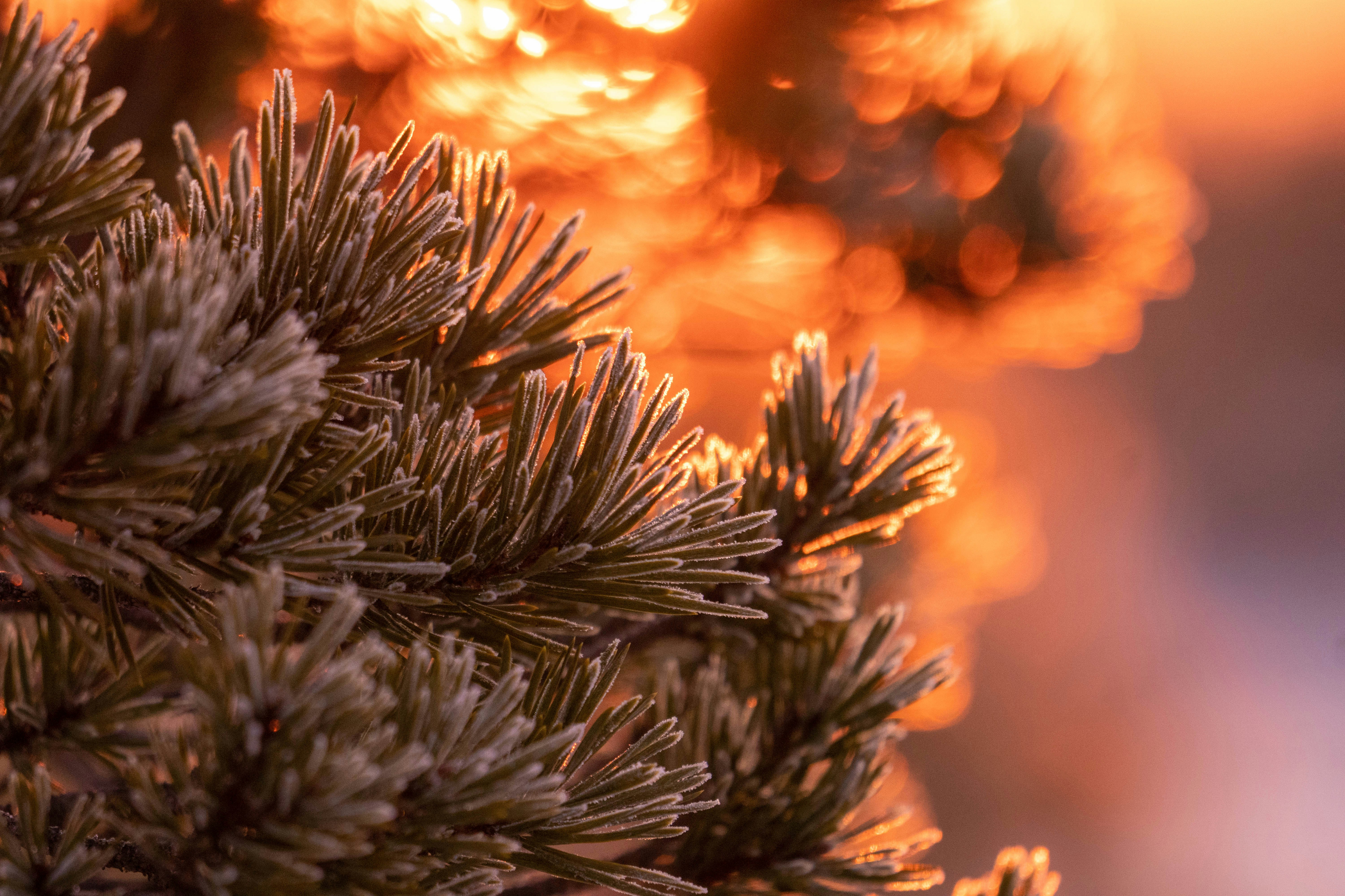Photo by janekvaldsalu