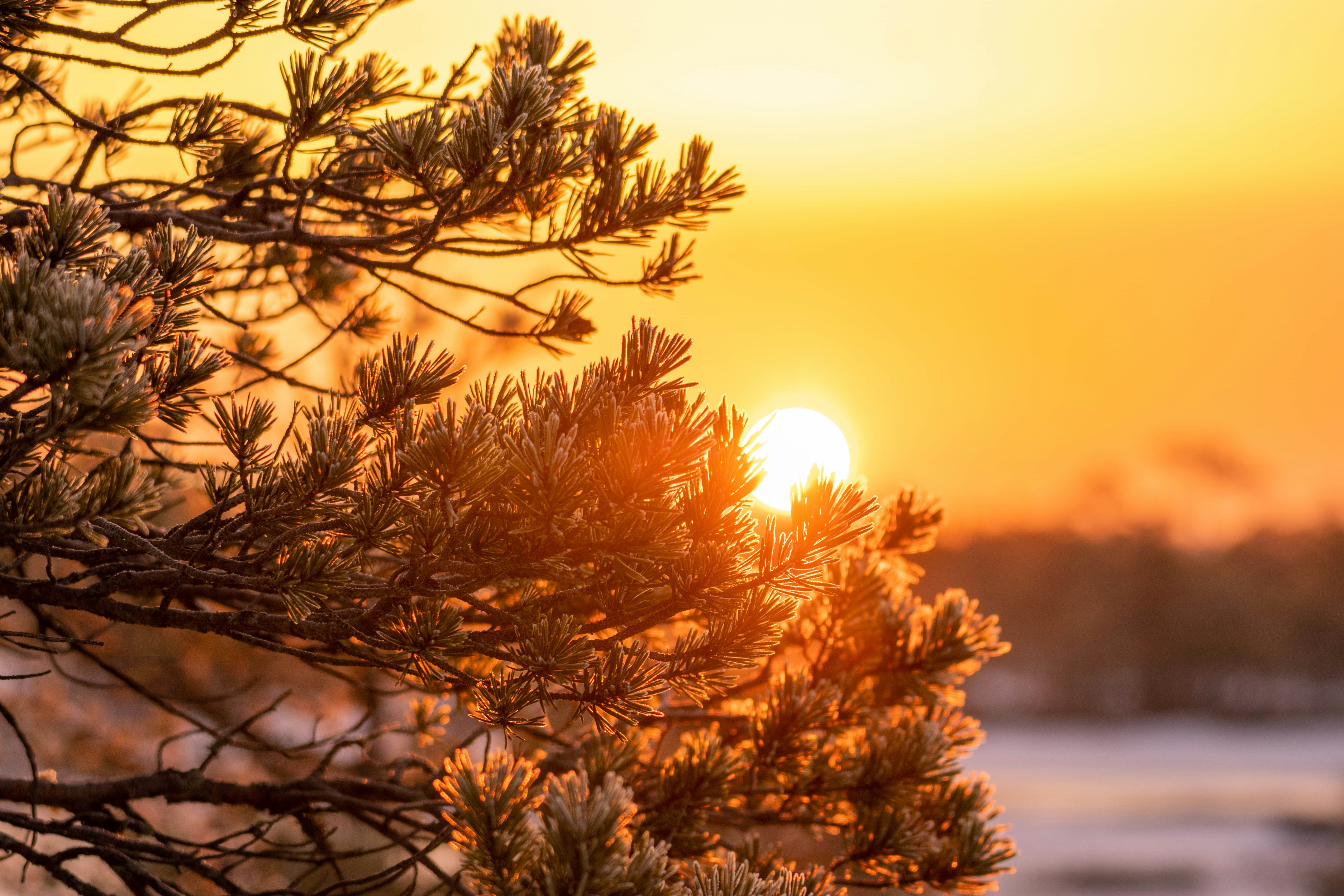 Photo by janekvaldsalu