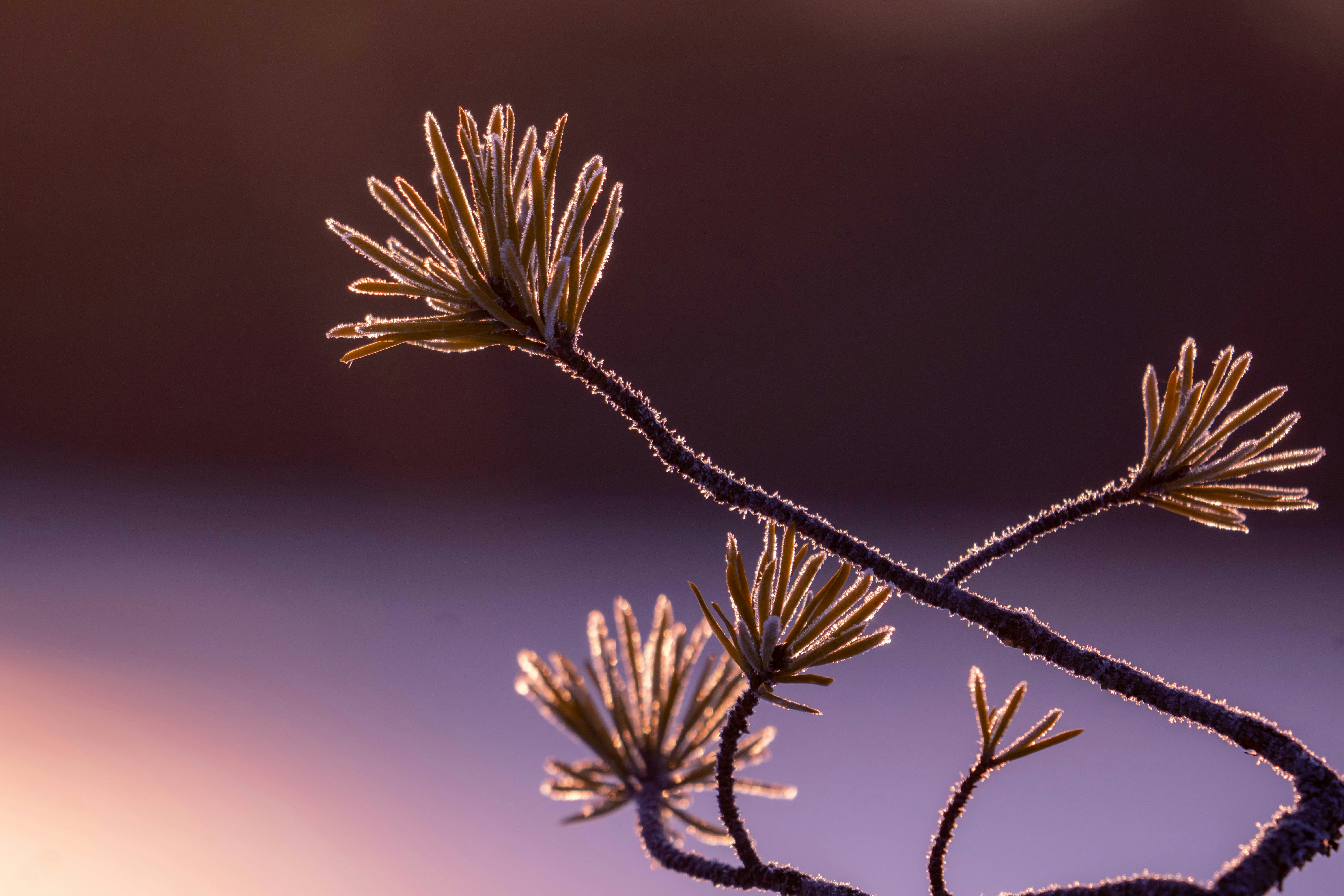 Photo by janekvaldsalu