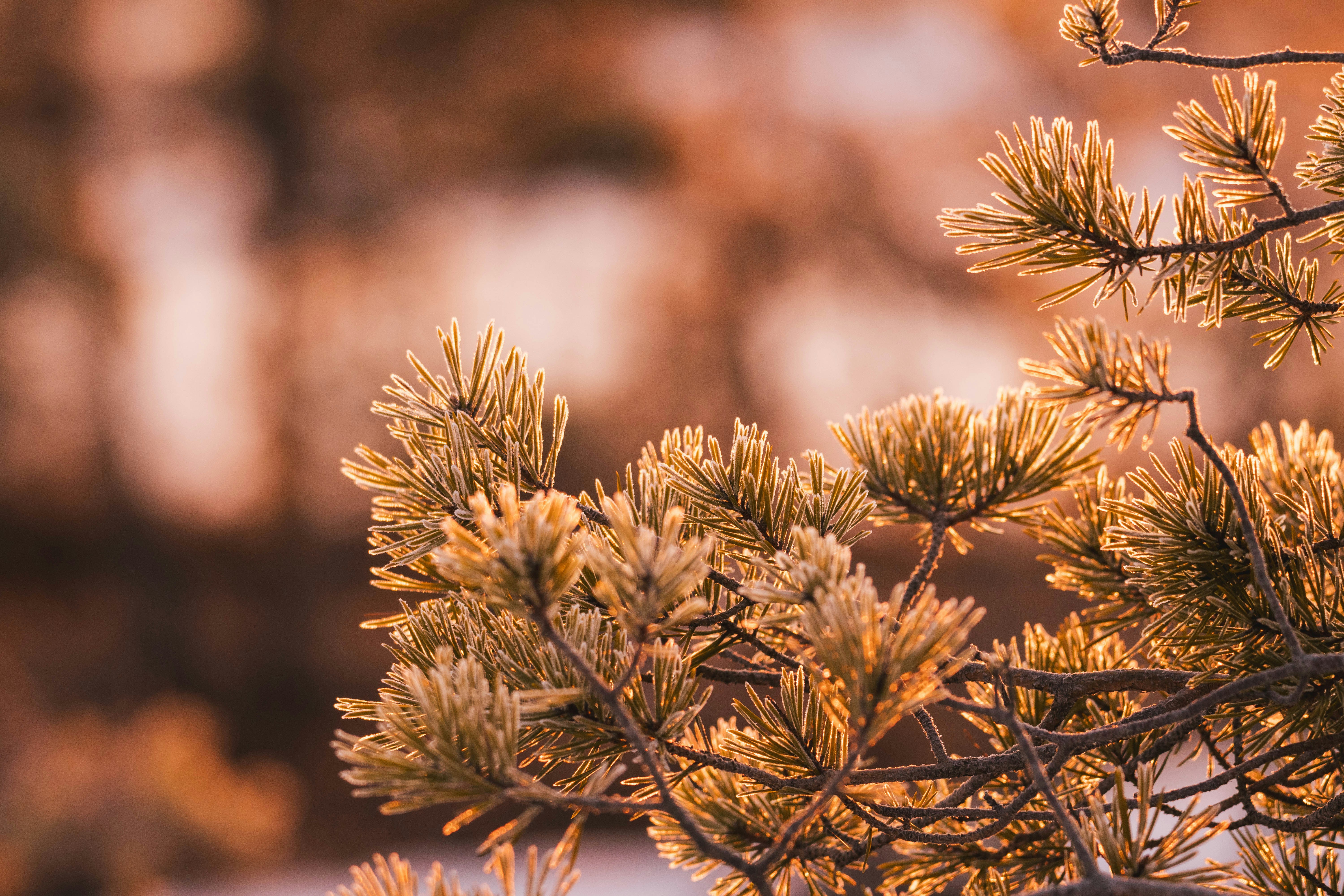 Photo by janekvaldsalu