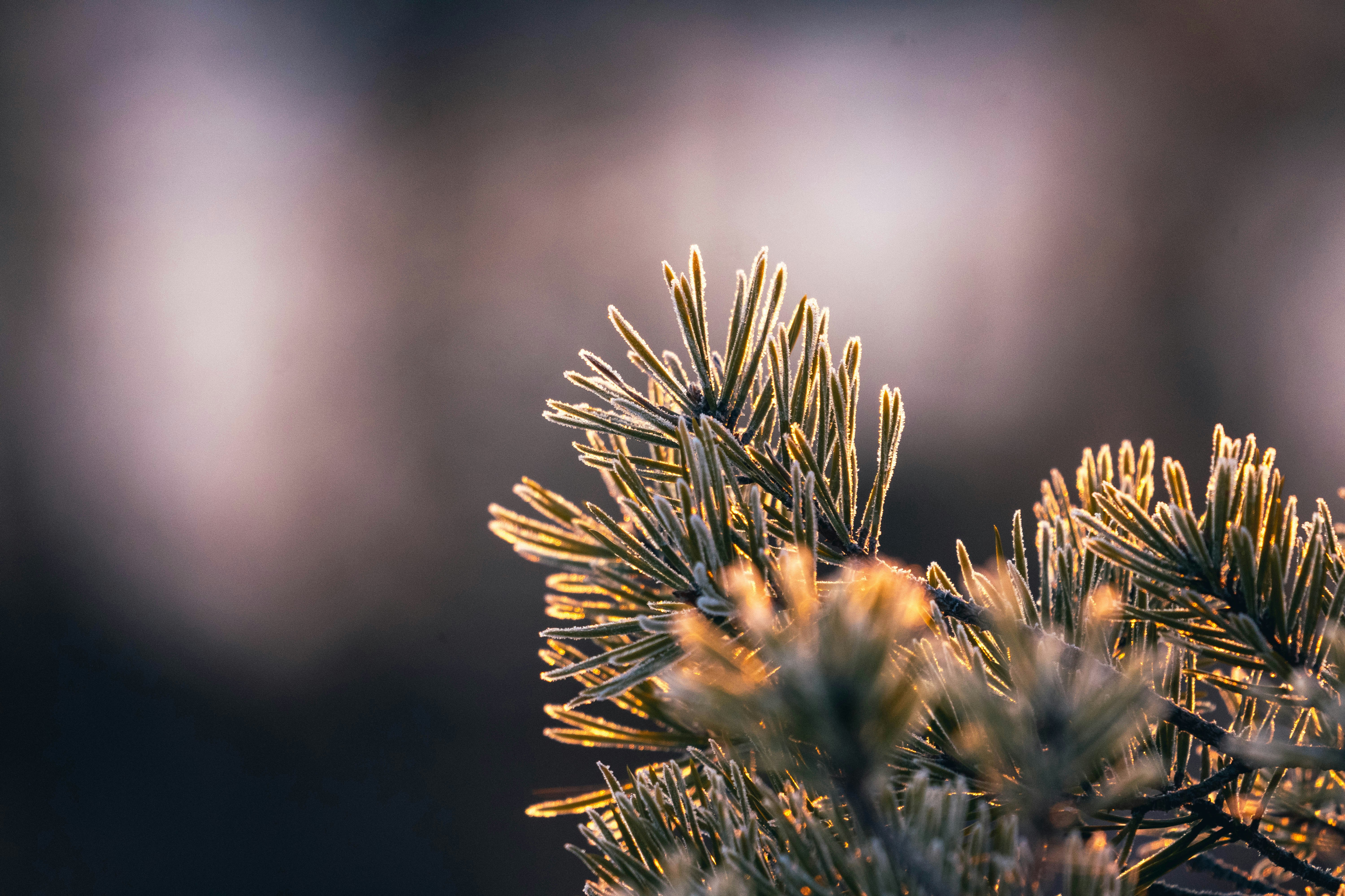 Photo by janekvaldsalu