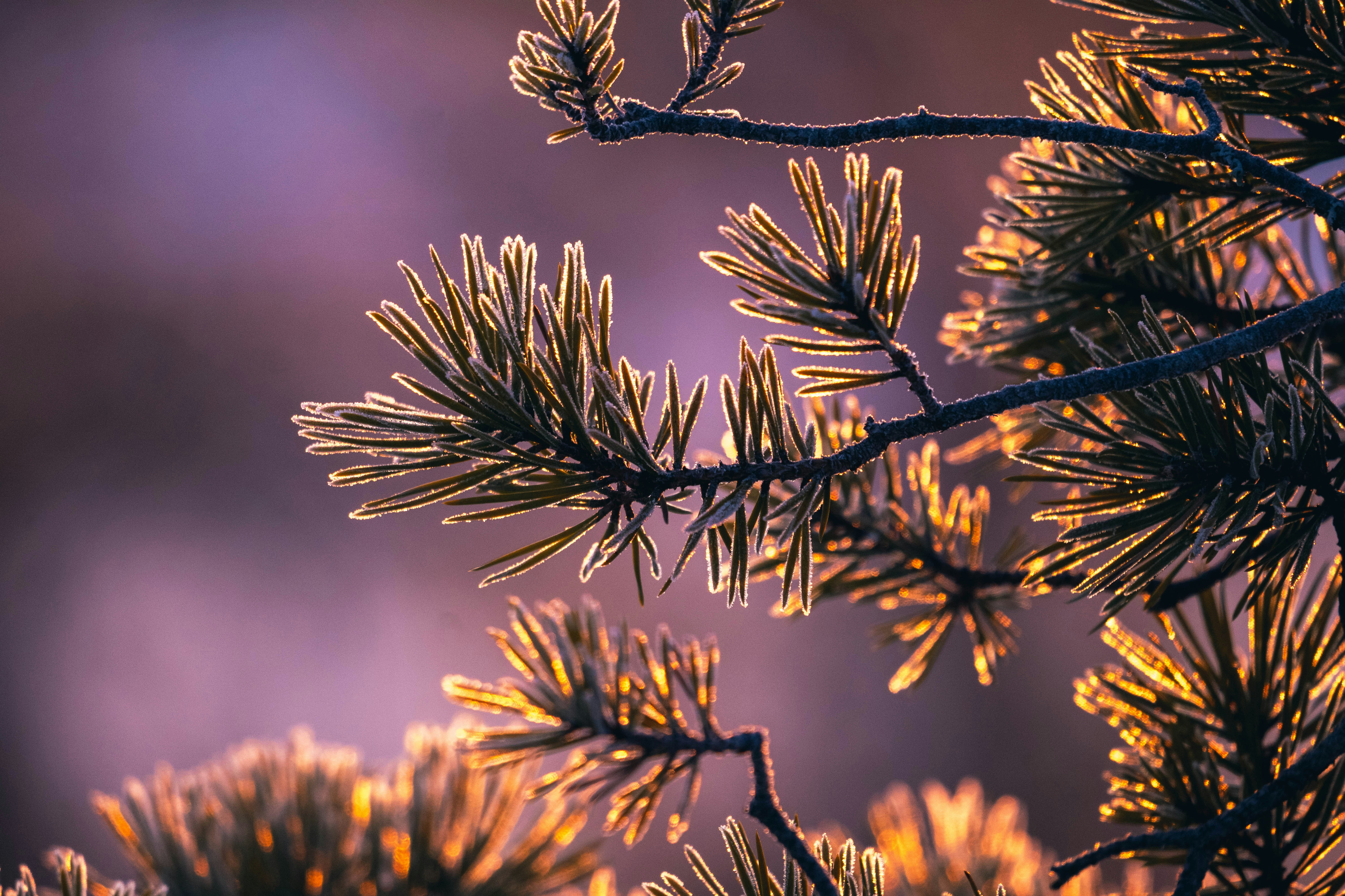 Photo by janekvaldsalu