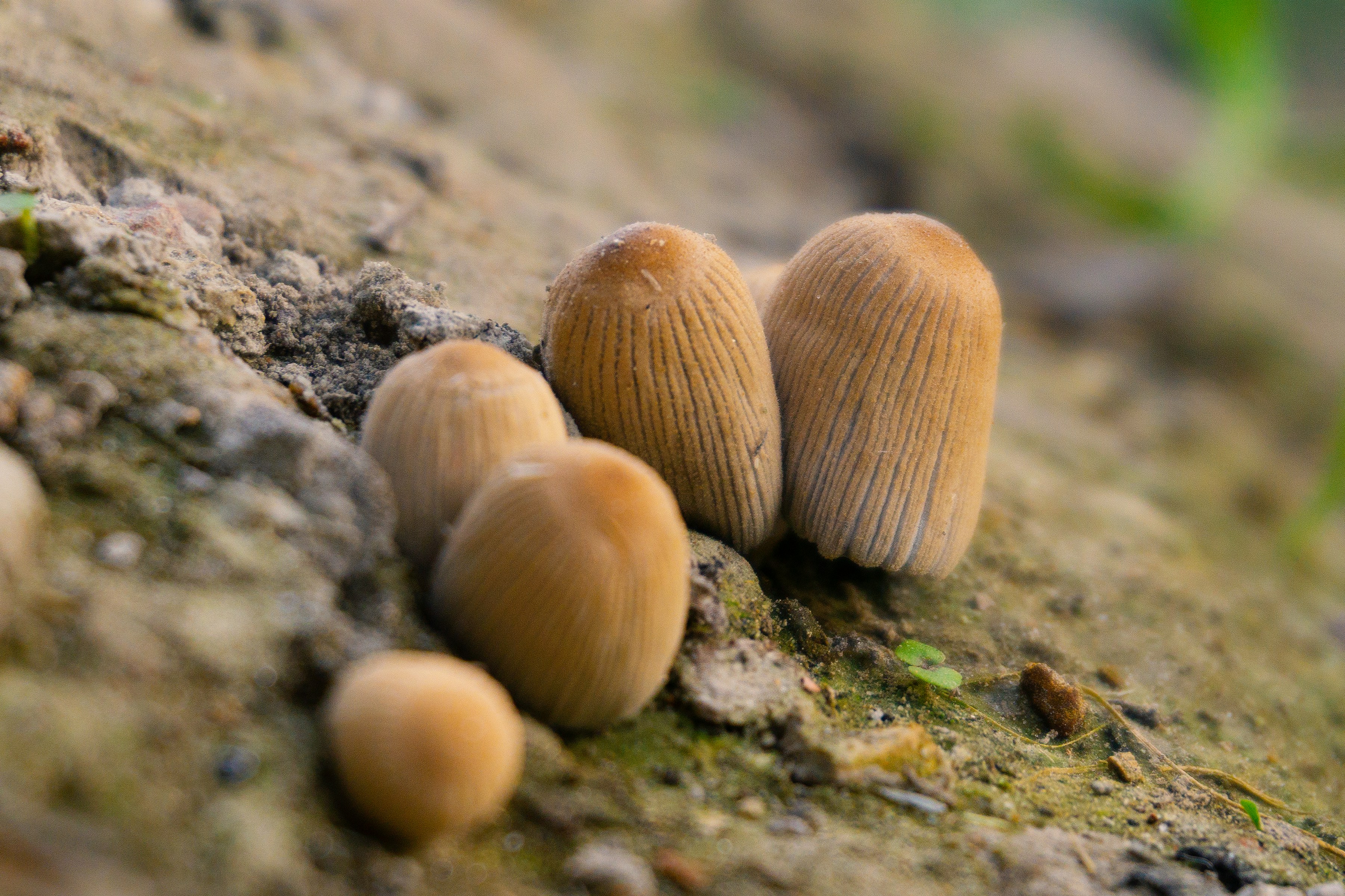 Photo by iamrajnishraj