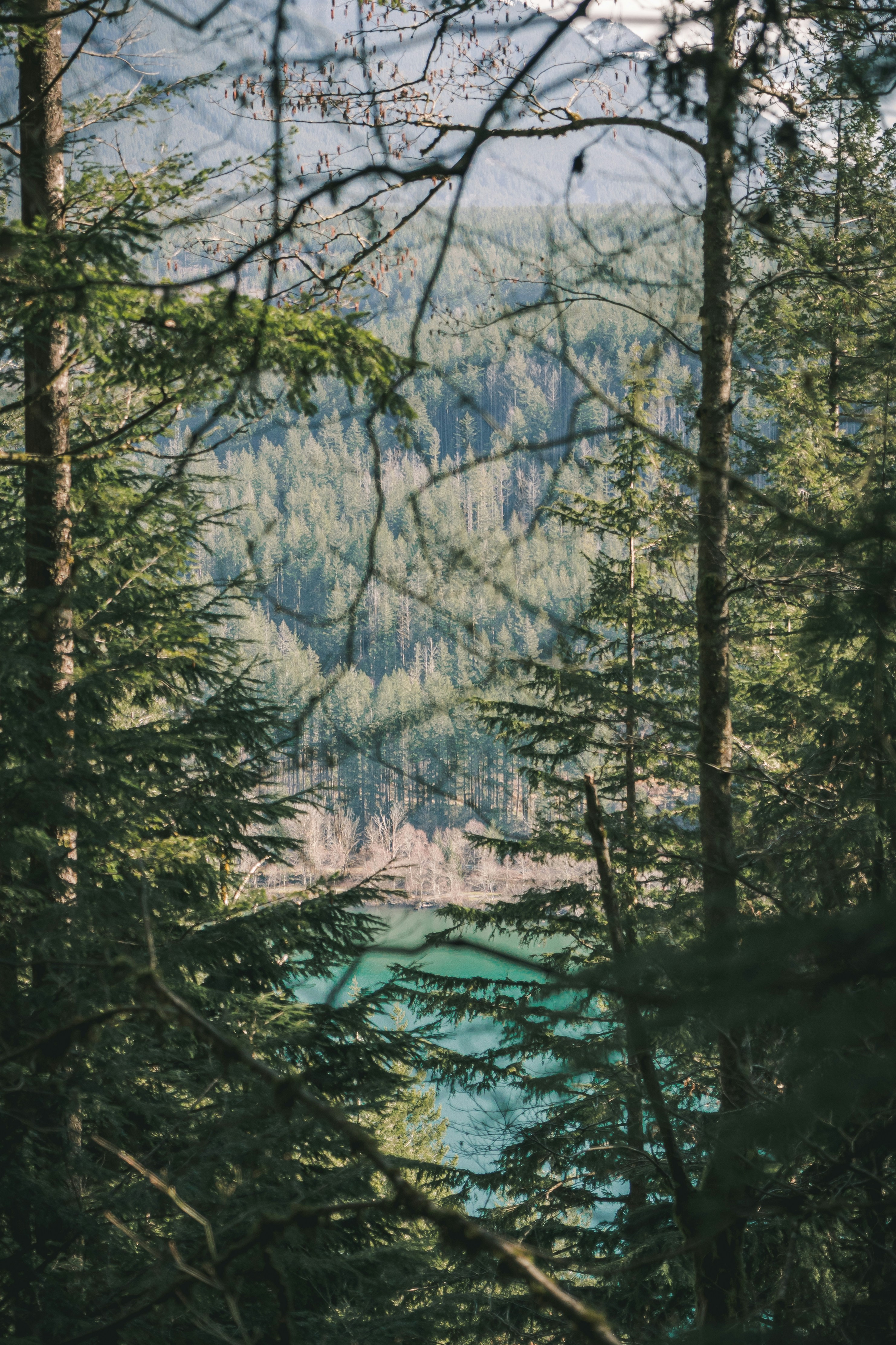 Photo by kosmonaut182