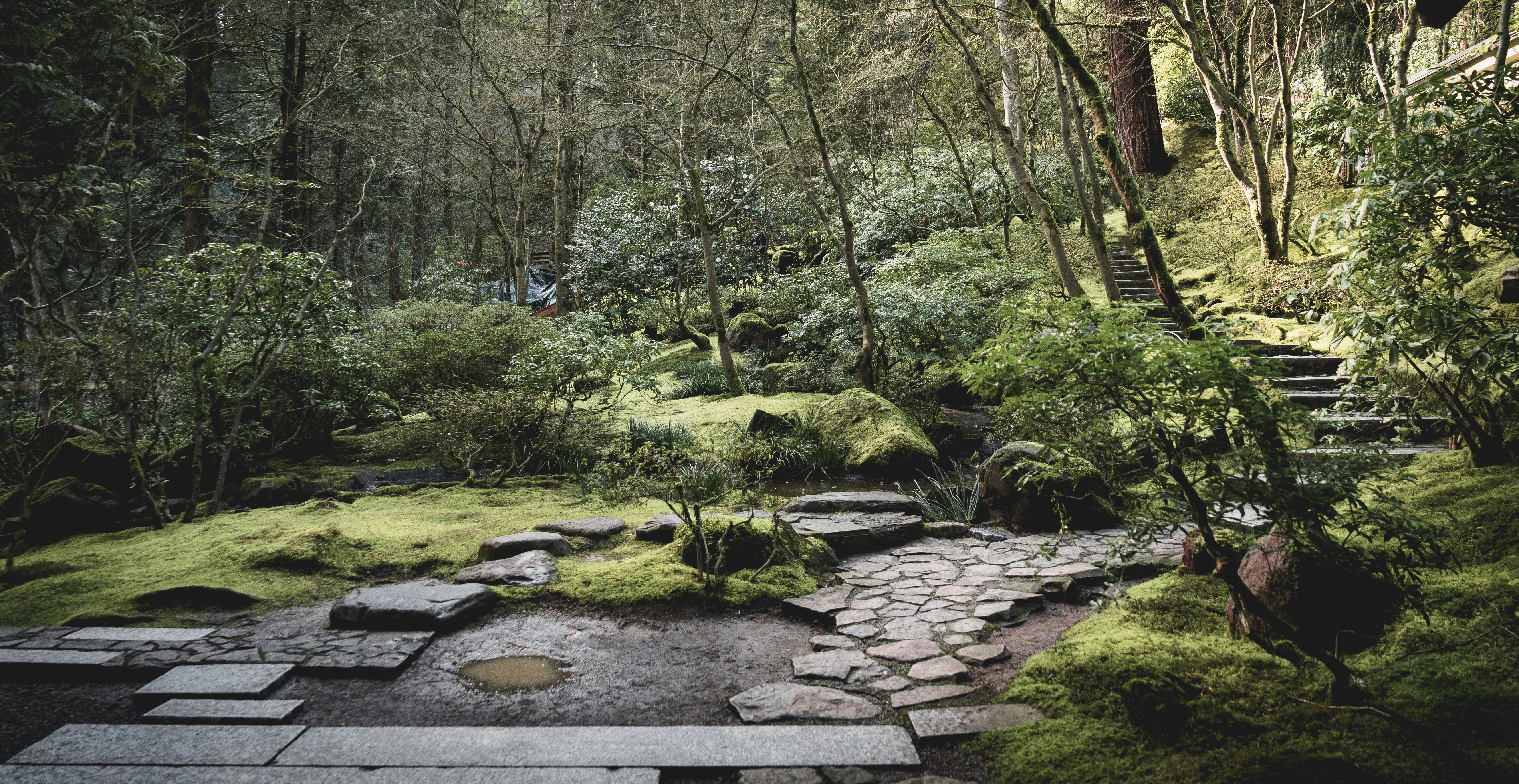 Photo by kosmonaut182