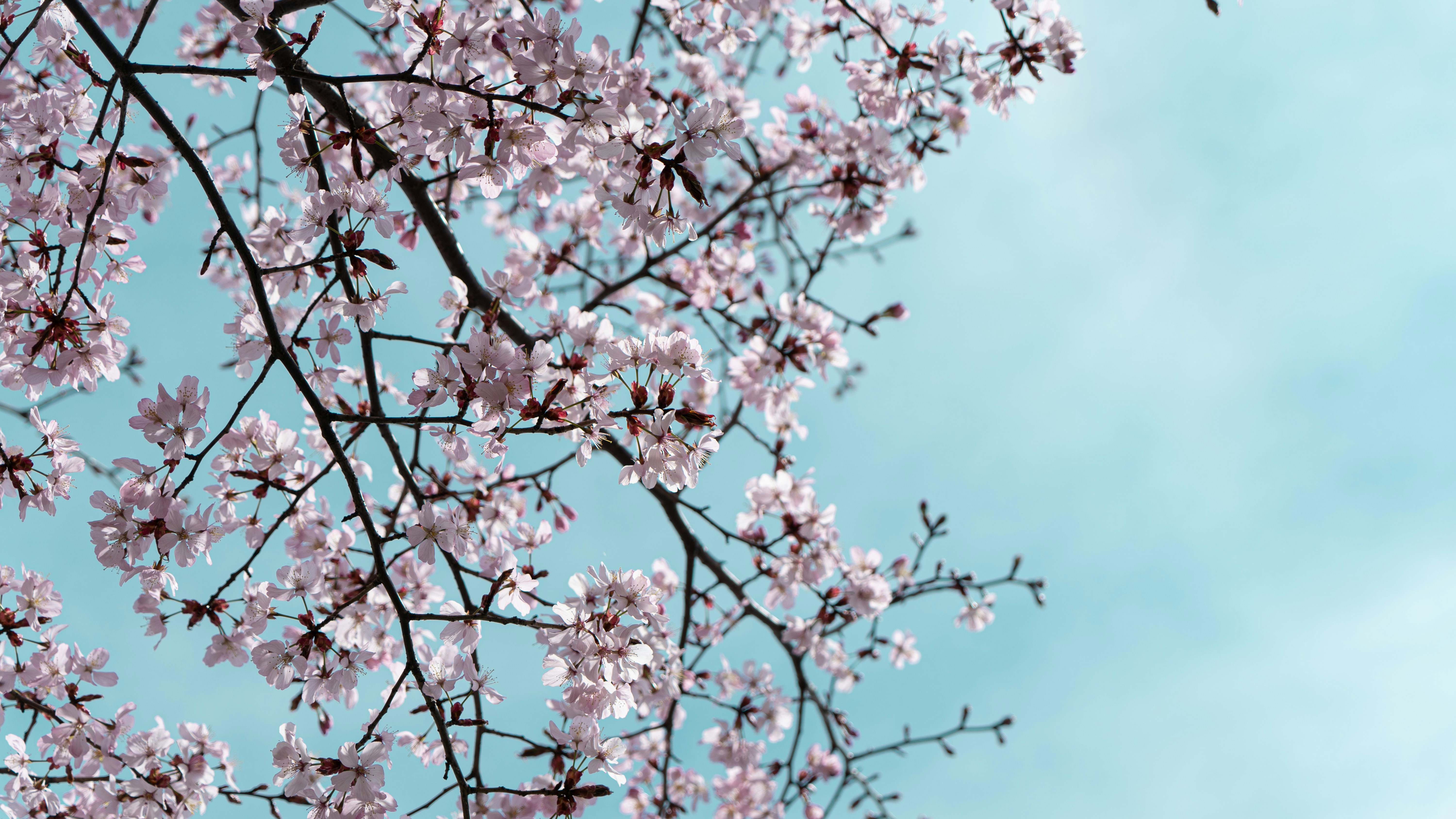 Photo by kosmonaut182