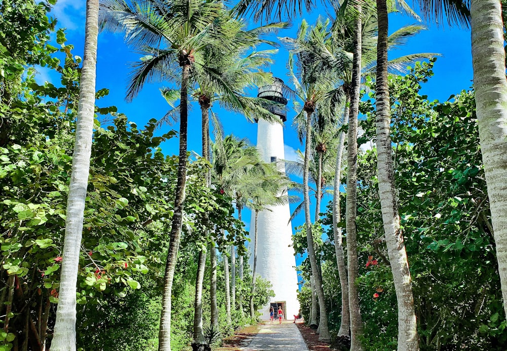 a white light house surrounded by palm trees