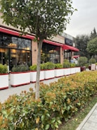 A street view of a restaurant with large windows and red awnings. There is a neatly trimmed hedge and several small rectangular planters in front of the building, containing green plants. People are visible inside the restaurant, which features warm lighting and chandeliers. A tree is in the foreground, adding greenery to the scene.