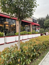 A street view of a restaurant with large windows and red awnings. There is a neatly trimmed hedge and several small rectangular planters in front of the building, containing green plants. People are visible inside the restaurant, which features warm lighting and chandeliers. A tree is in the foreground, adding greenery to the scene.
