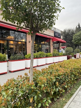 A street view of a restaurant with large windows and red awnings. There is a neatly trimmed hedge and several small rectangular planters in front of the building, containing green plants. People are visible inside the restaurant, which features warm lighting and chandeliers. A tree is in the foreground, adding greenery to the scene.