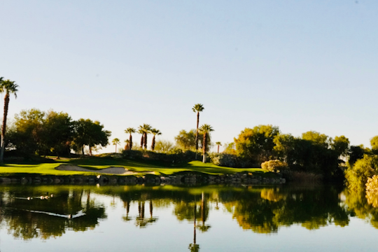 A serene Kerala landscape with lush greenery and a calm backwater reflecting the sky.