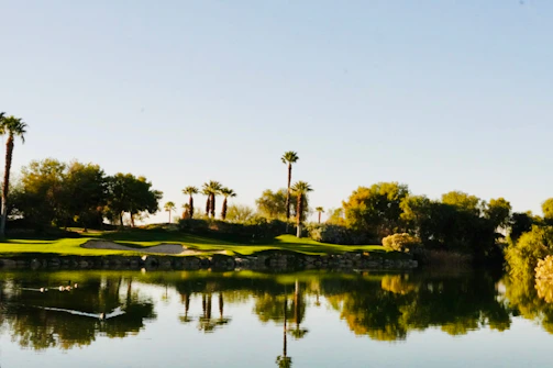 A serene mobile home community with palm trees lining a calm lake under a bright Florida sky.