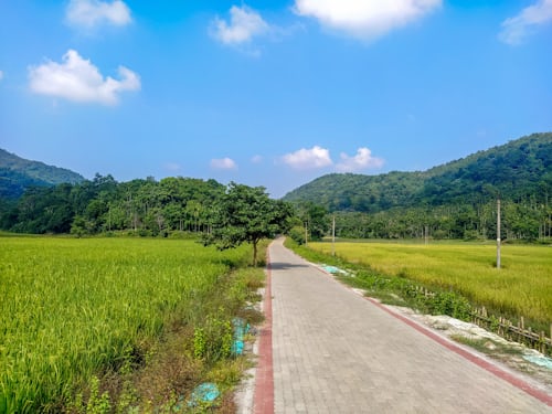 majauli assam majauli assam