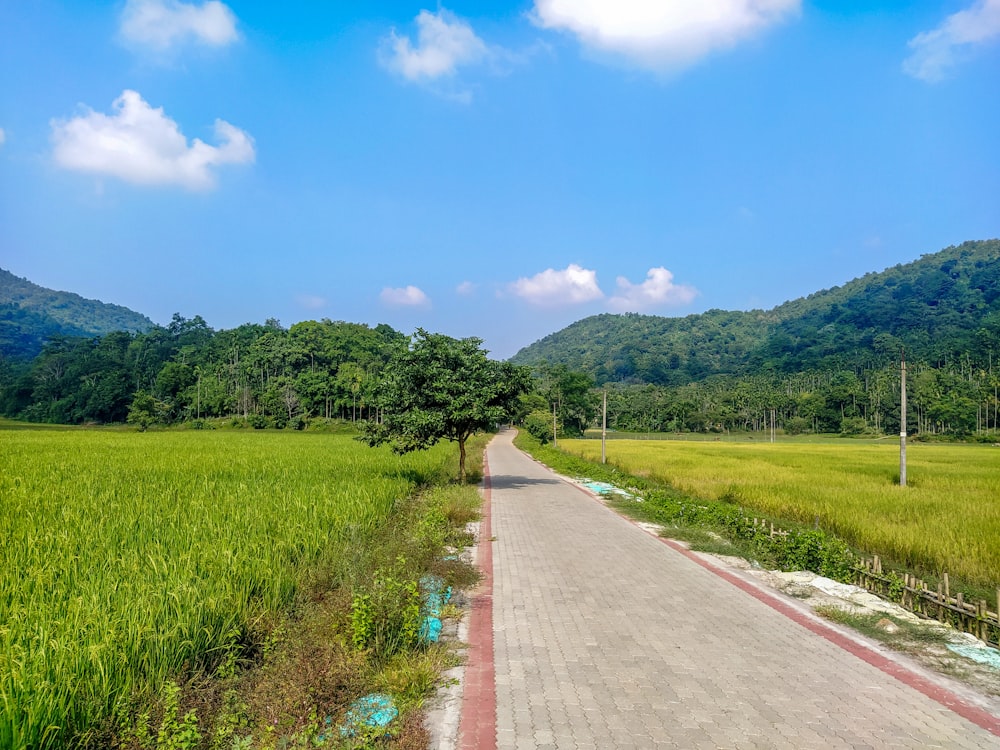 a dirt road in front of a lush green field