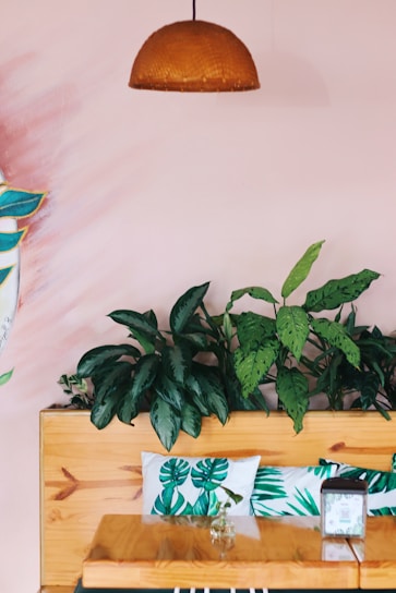 A cozy arrangement of plush pillows in soft pastel colors on a wooden bench.