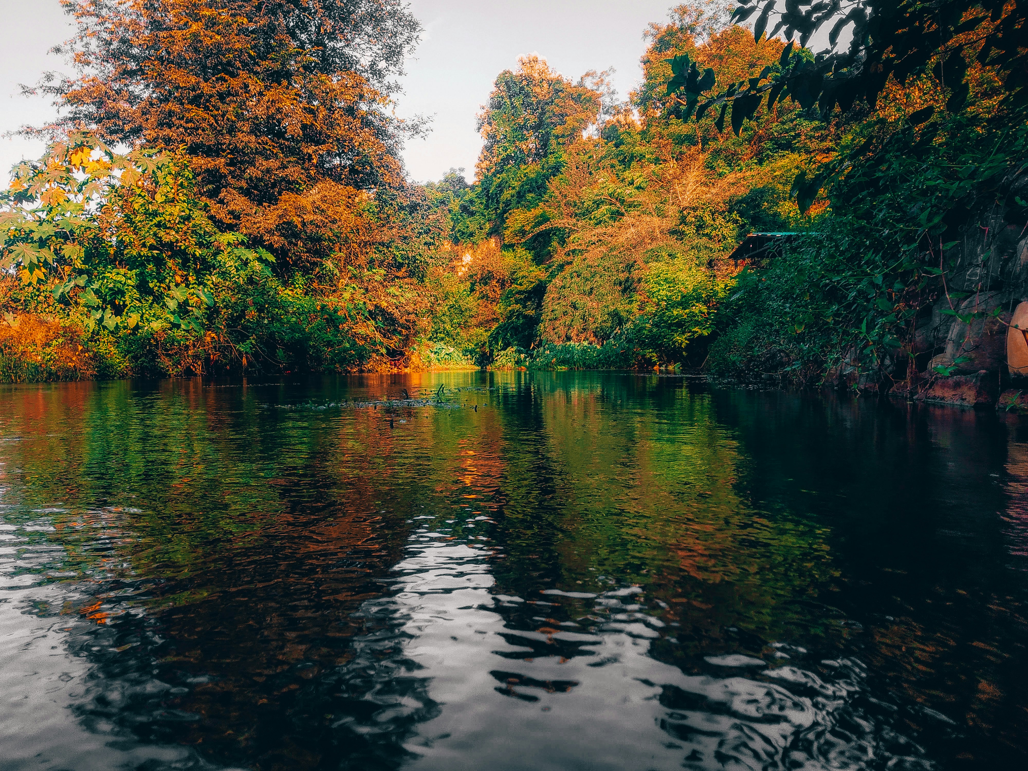 Photo by photonic_kotaite