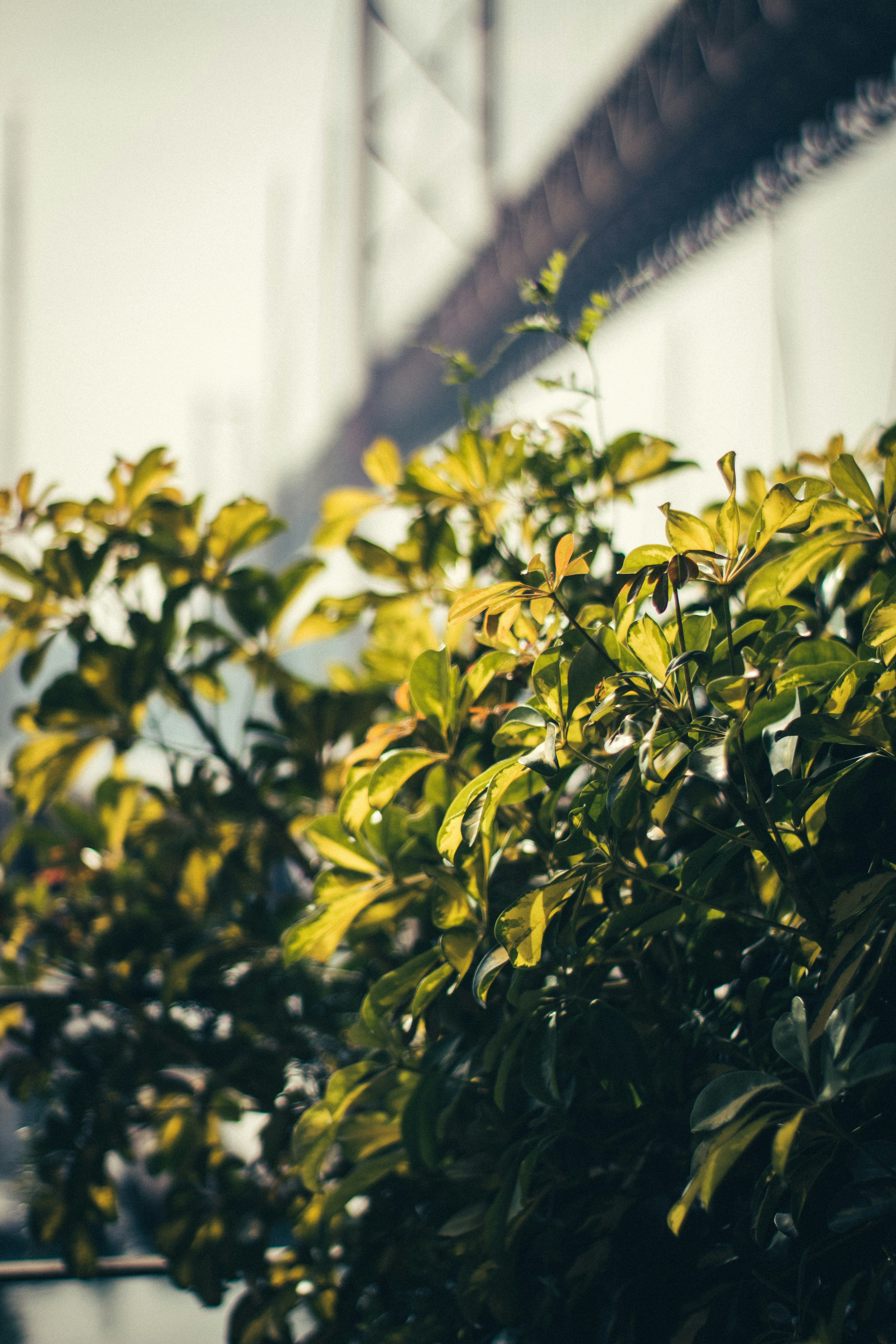 Photo by snapshot_journey