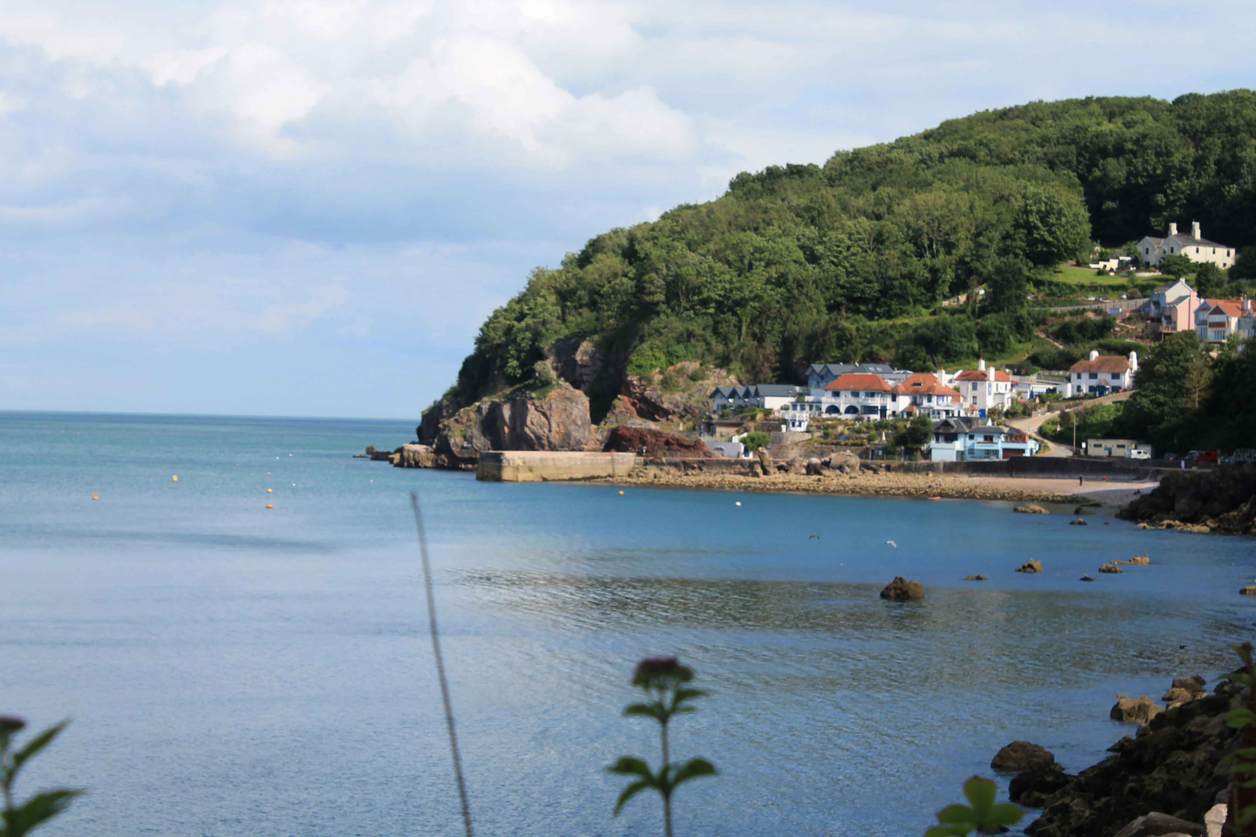 Photo by balesphotographyco