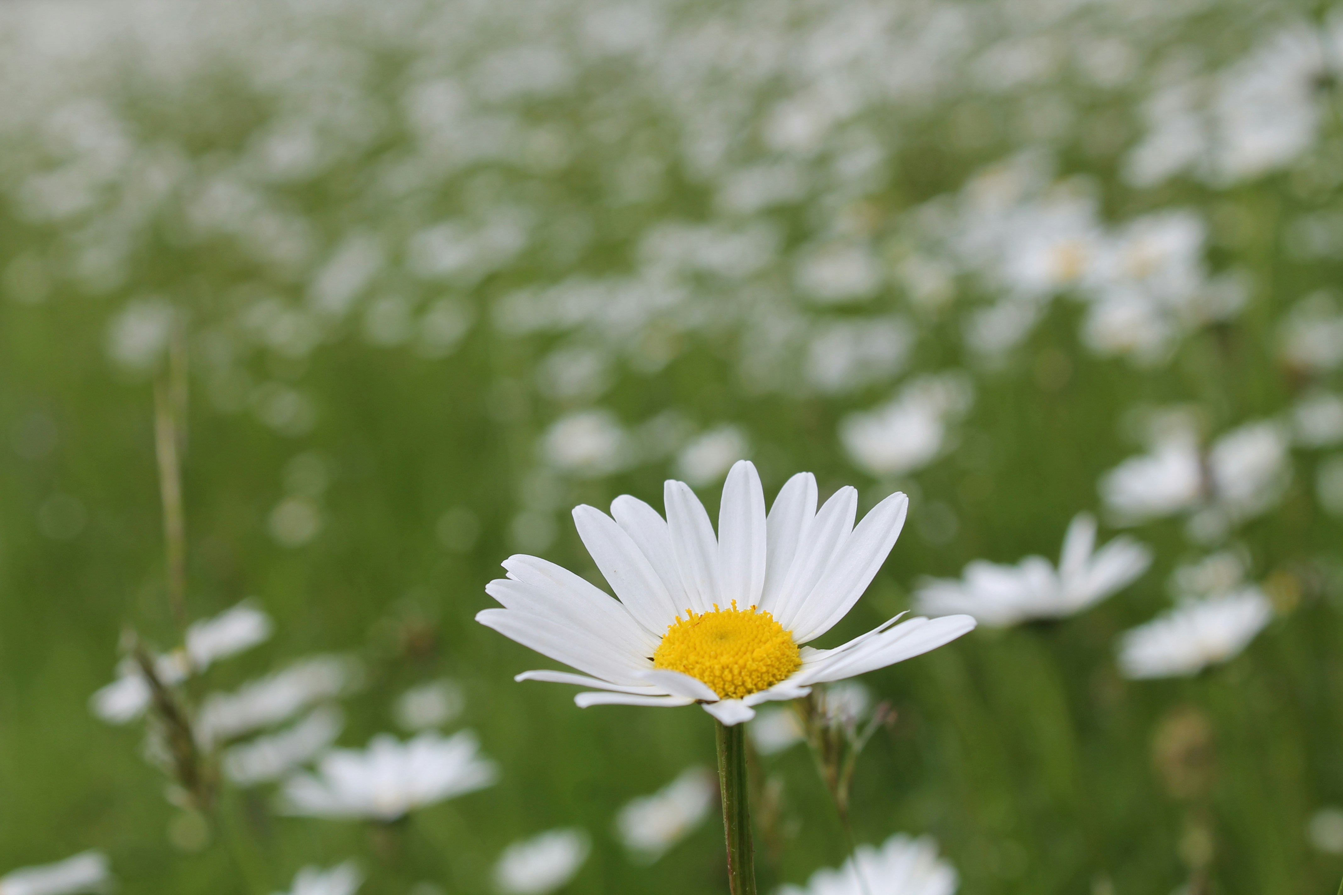 Photo by balesphotographyco