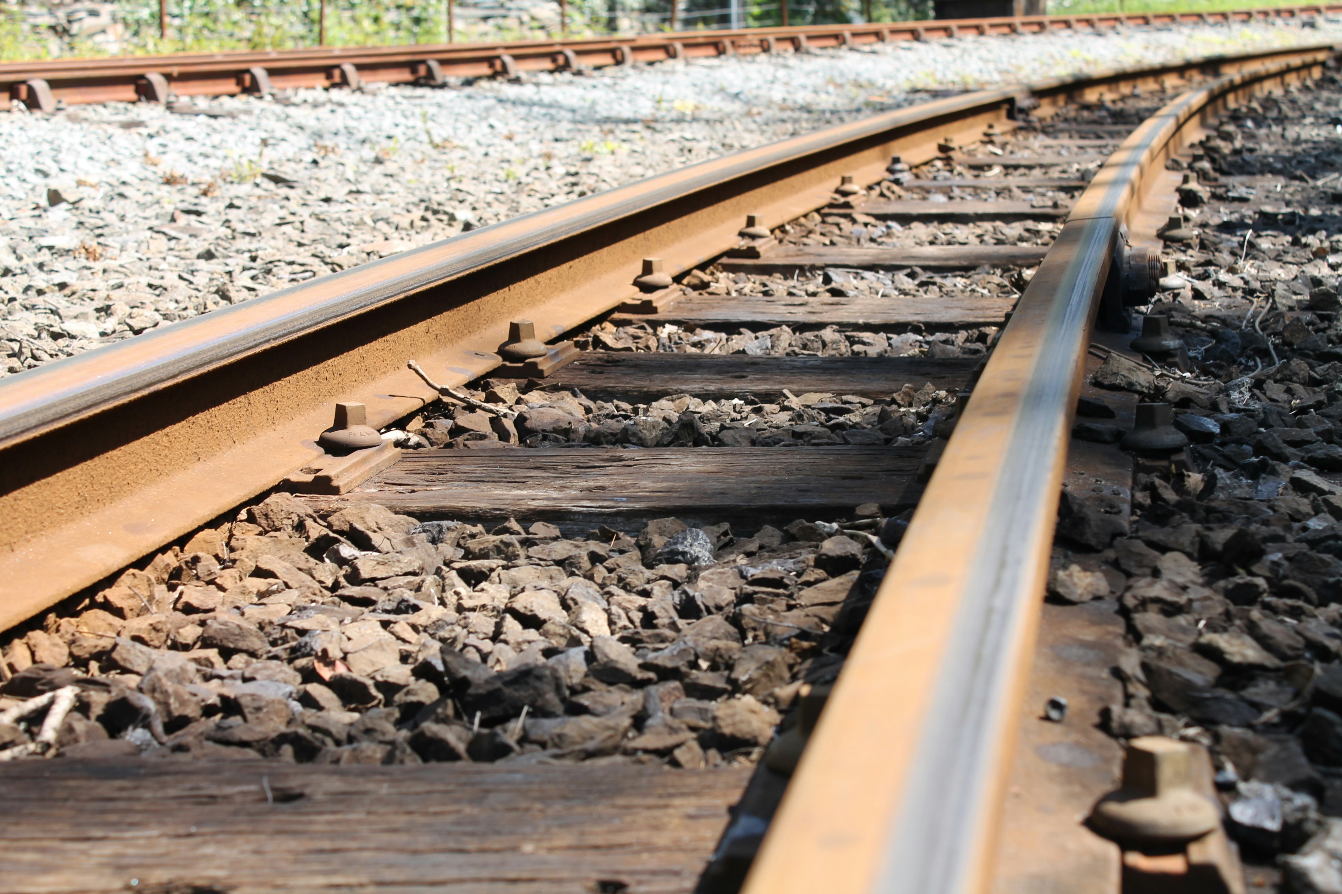 Photo by balesphotographyco