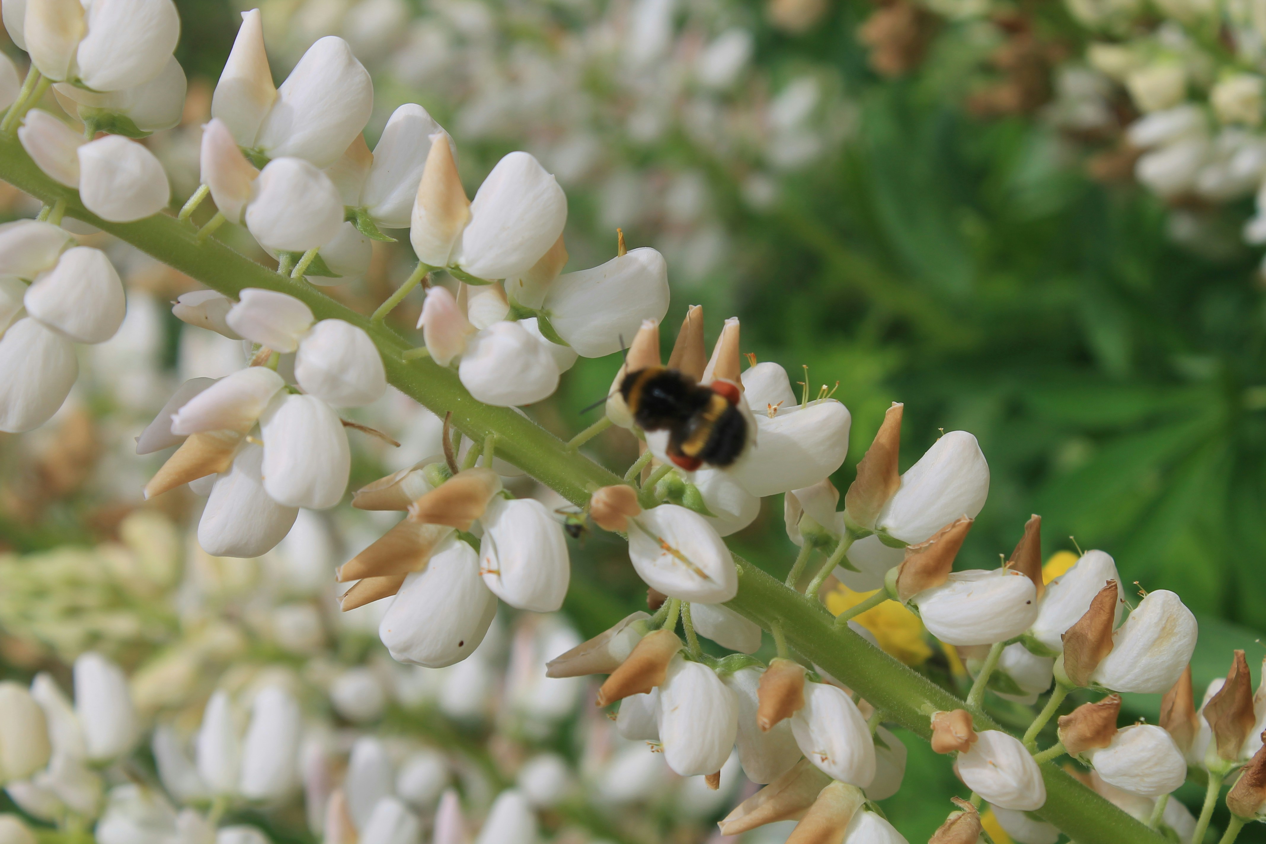 Photo by balesphotographyco