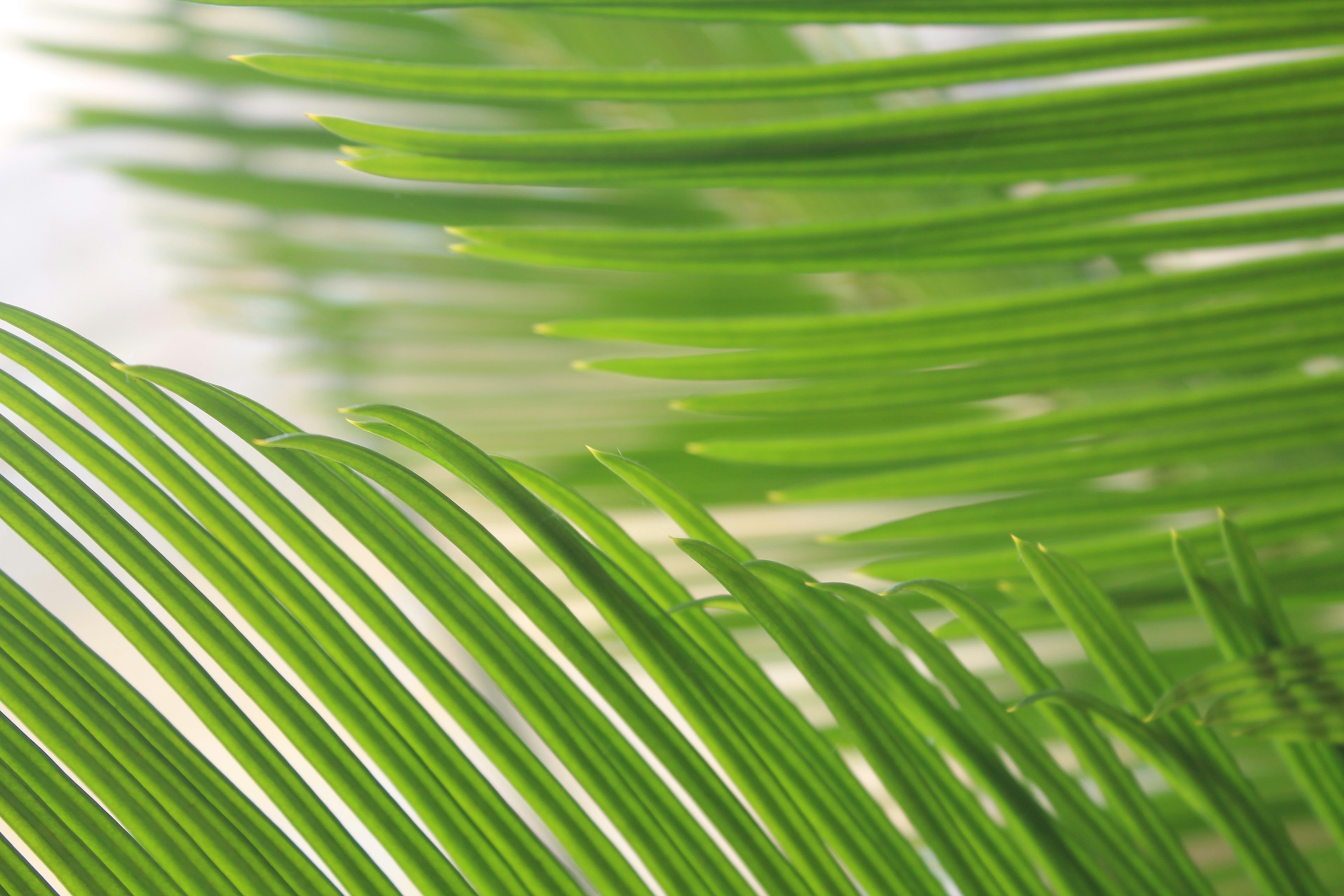 Photo by balesphotographyco