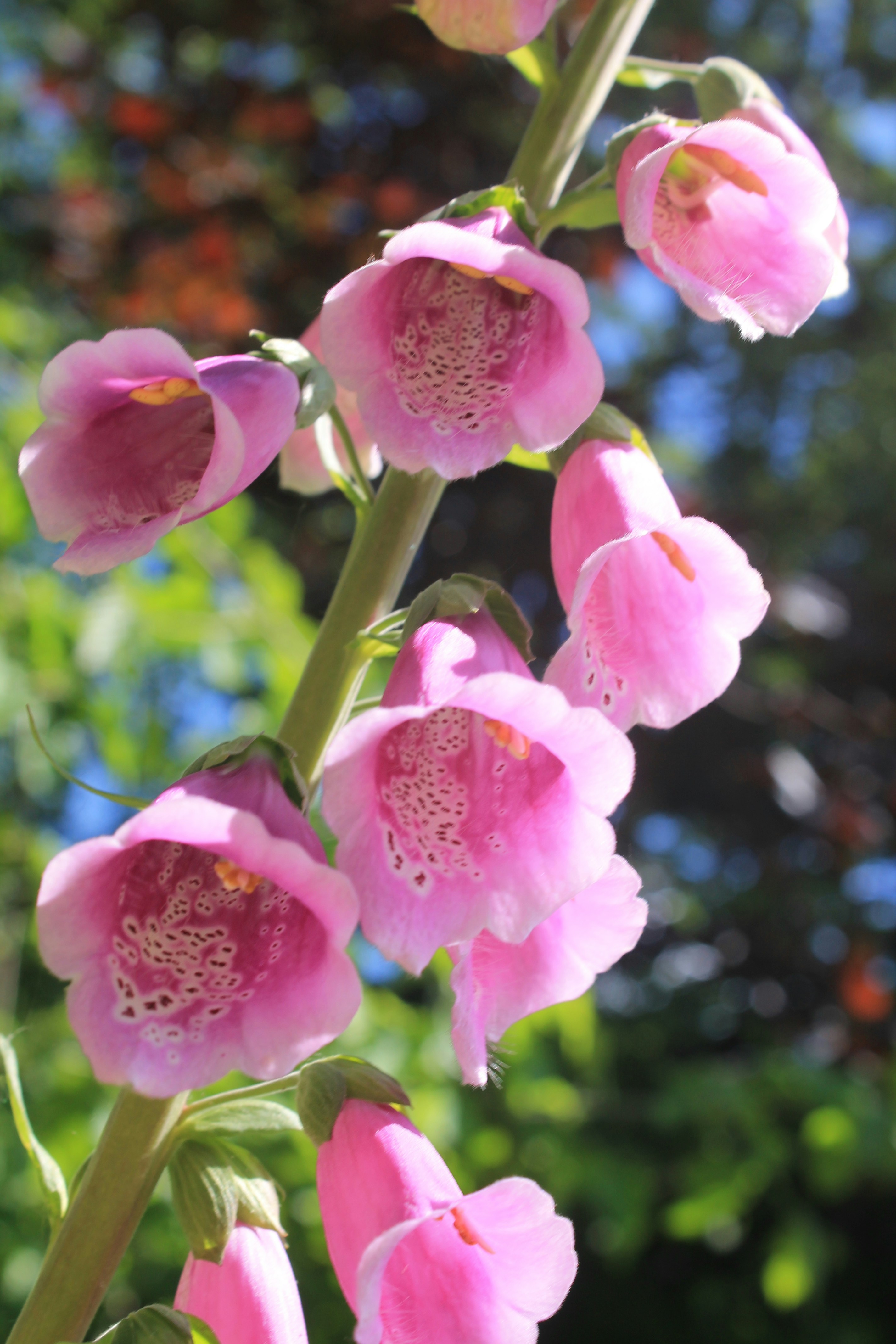 Photo by balesphotographyco