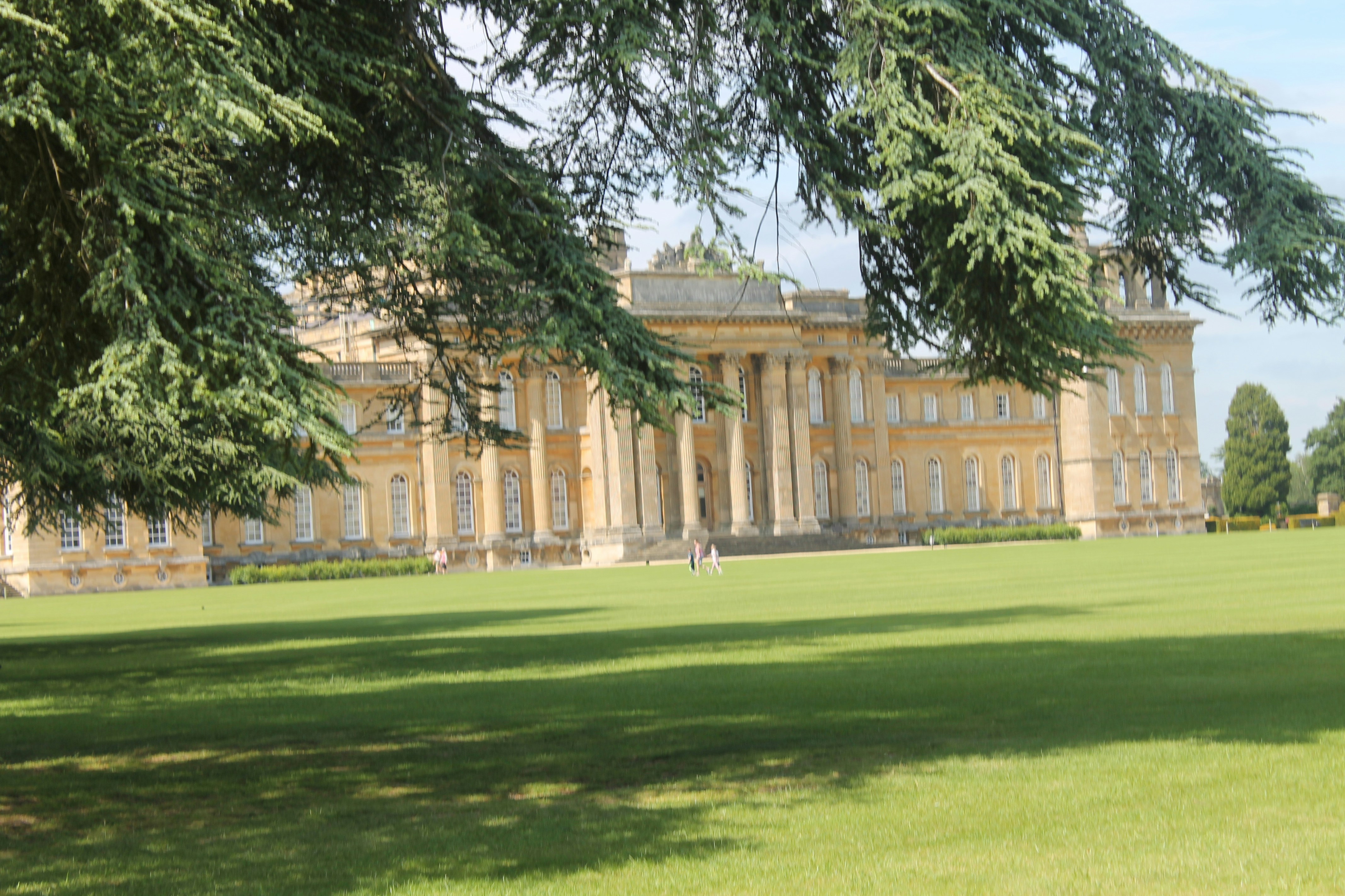 Photo by balesphotographyco