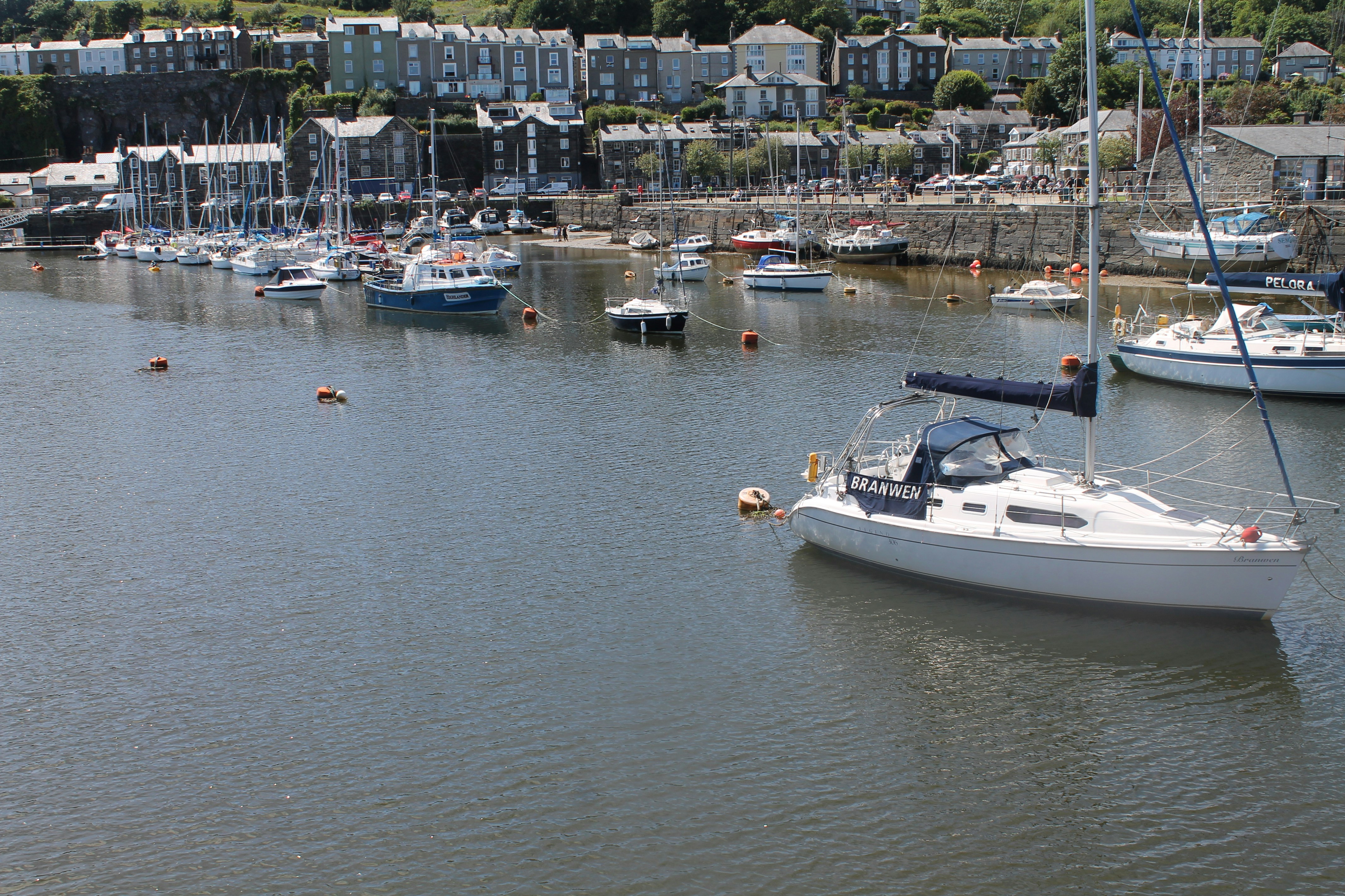 Photo by balesphotographyco