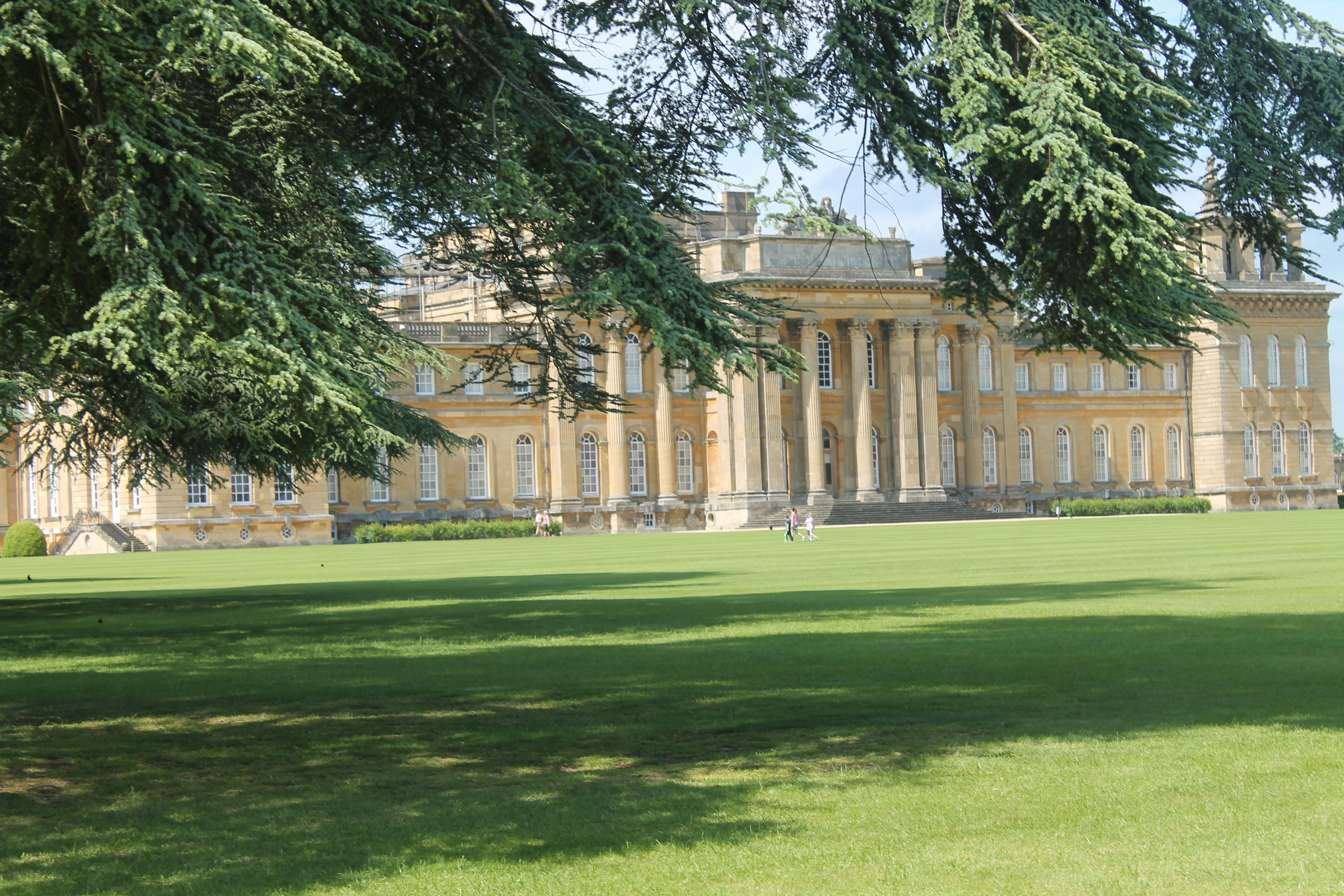 Photo by balesphotographyco