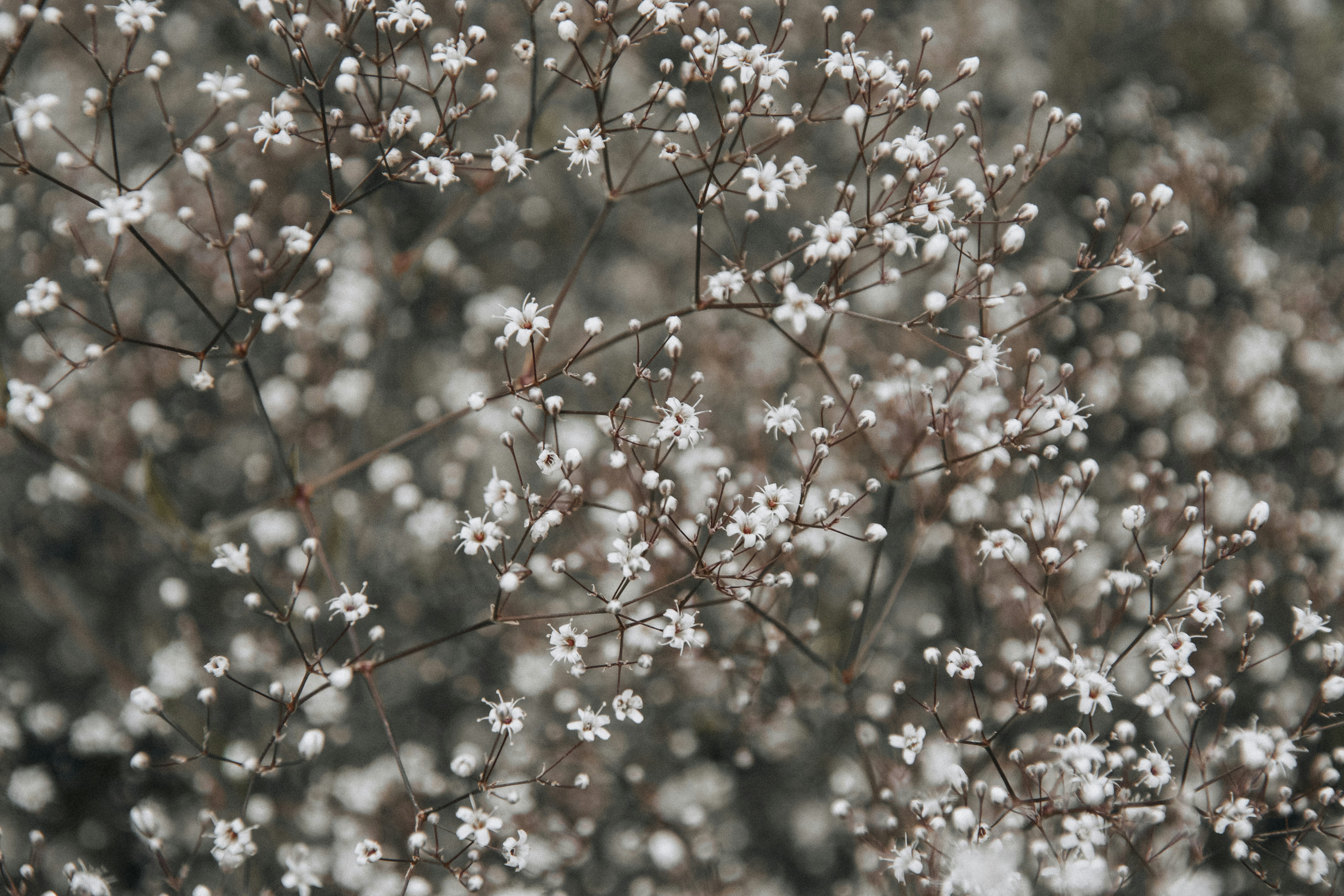 Photo by domiesharpin