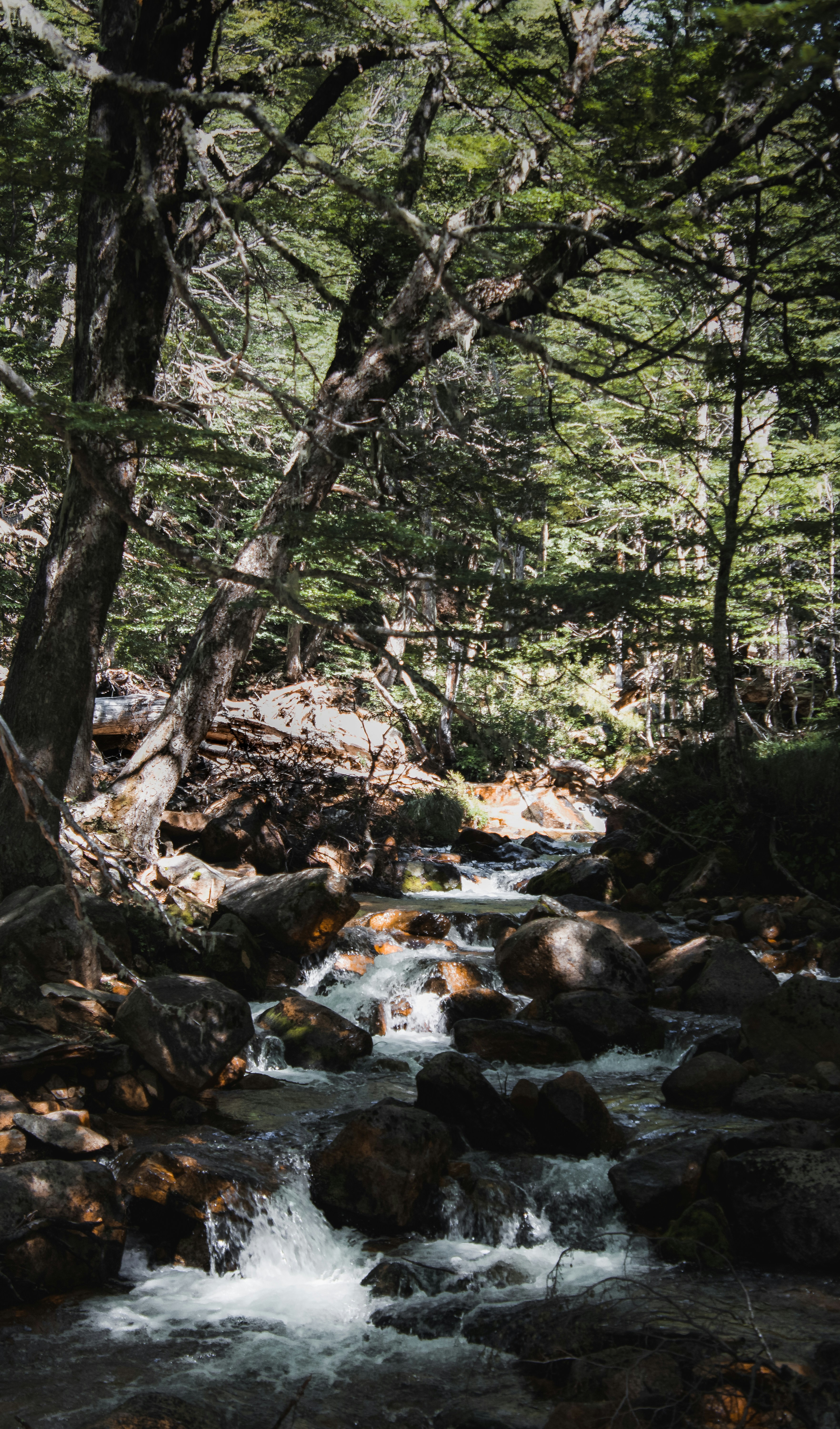 Photo by domiesharpin