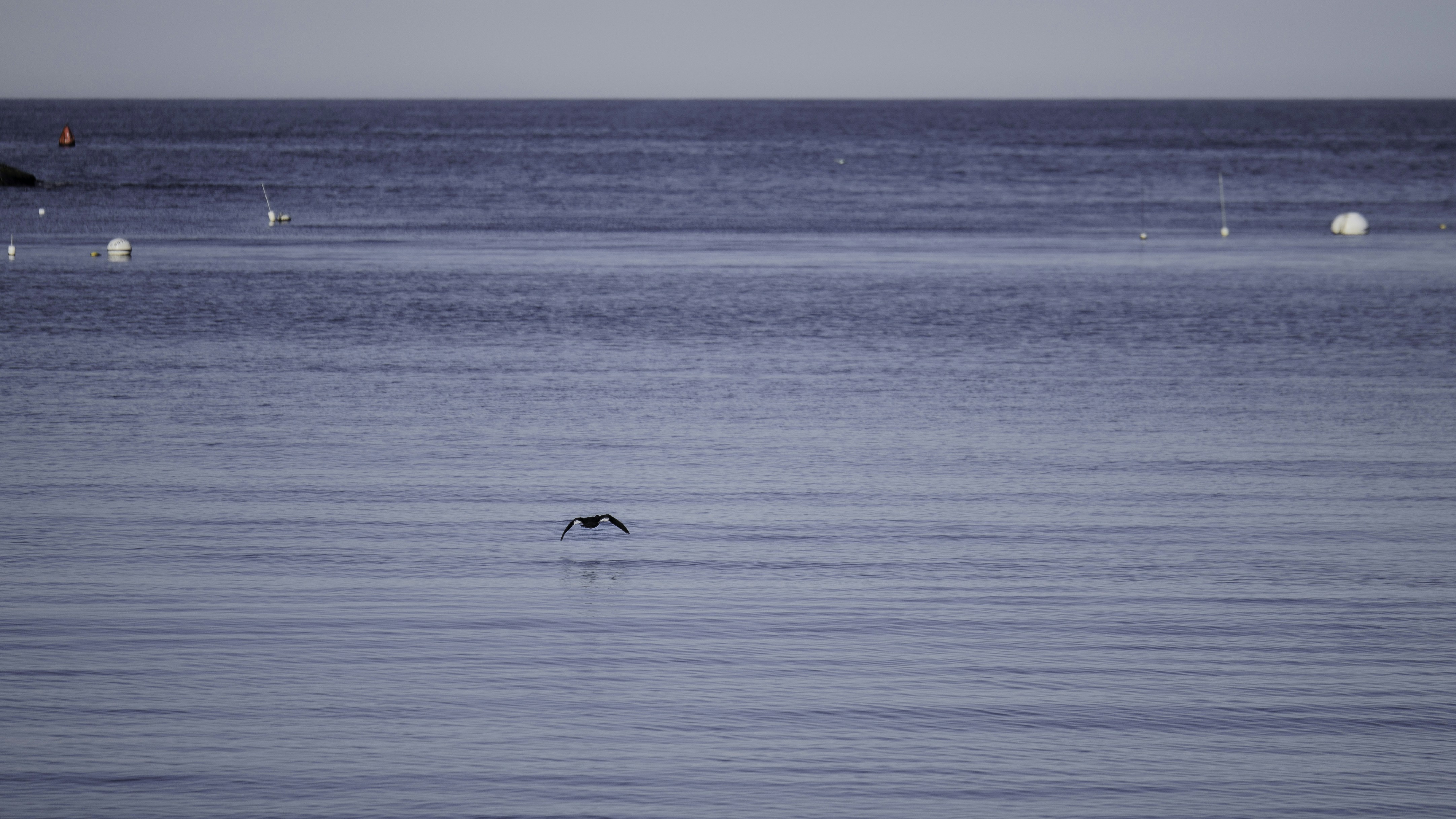 Photo by leonbredella