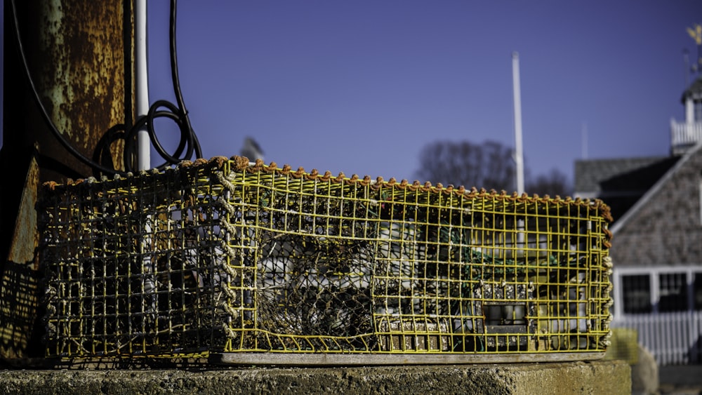 a bunch of yellow wire sitting on top of a cement wall