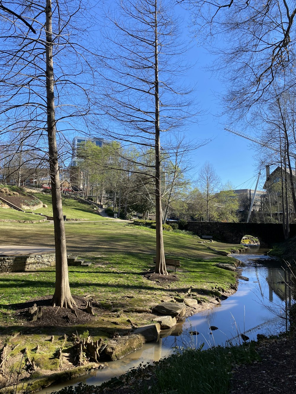 a river running through a lush green park