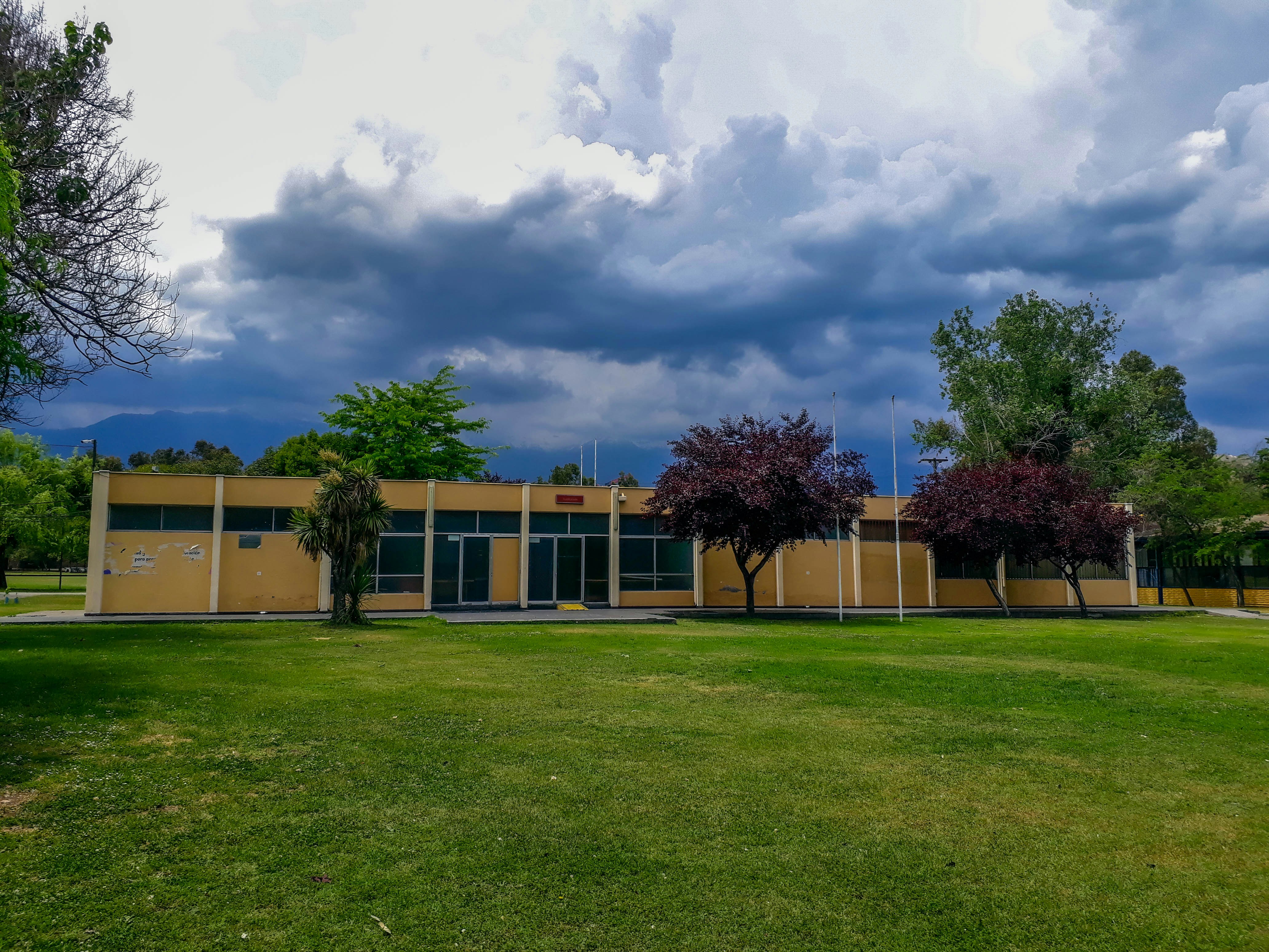 Un edificio amarillo con árboles frente a él