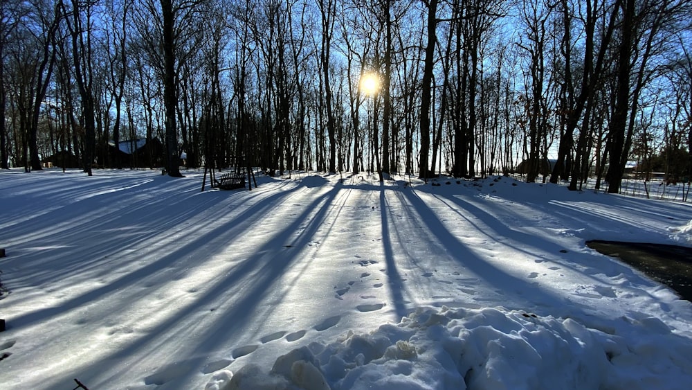 the sun is shining through the trees in the snow