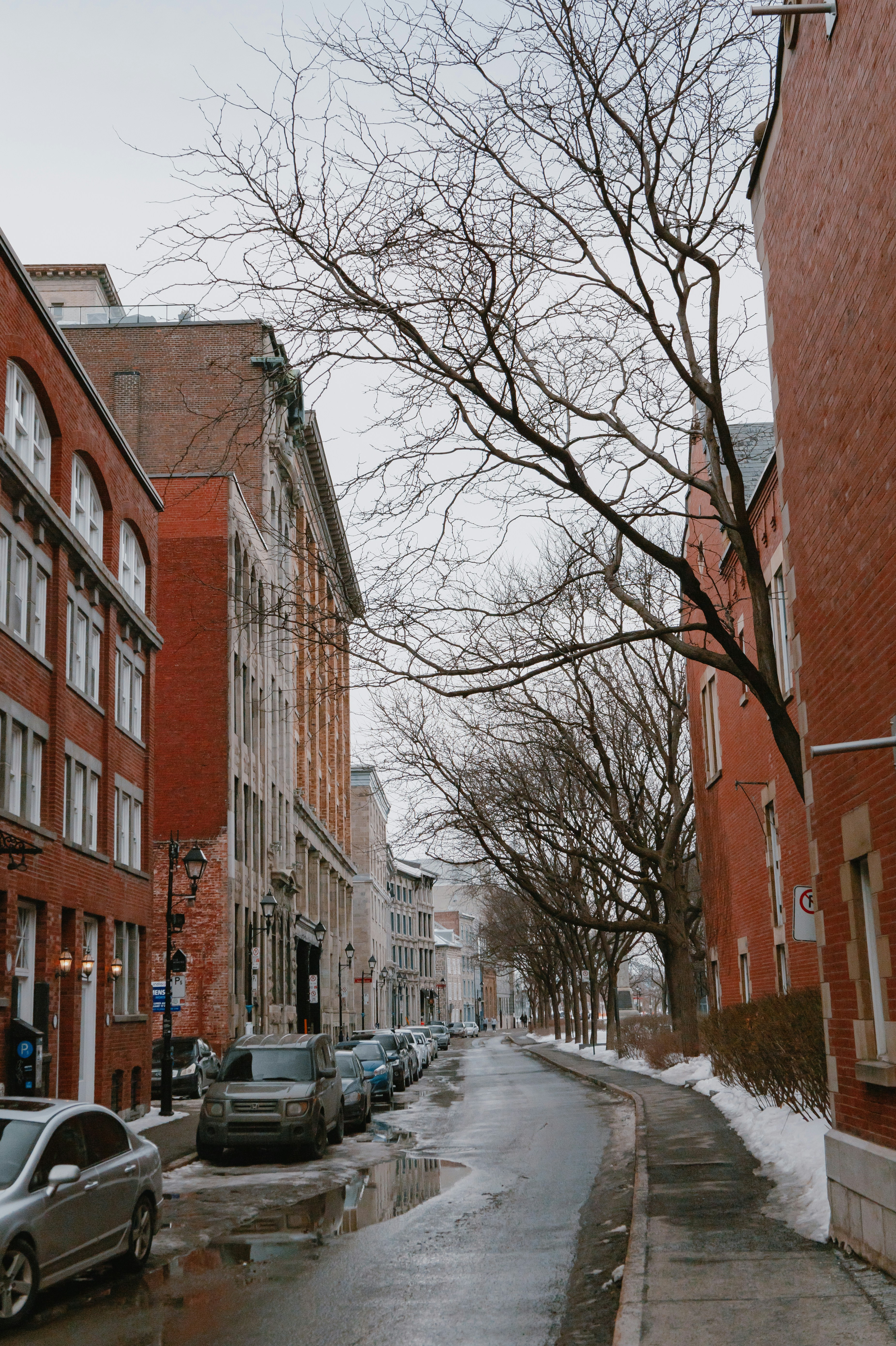 Photo by janwalterluigi