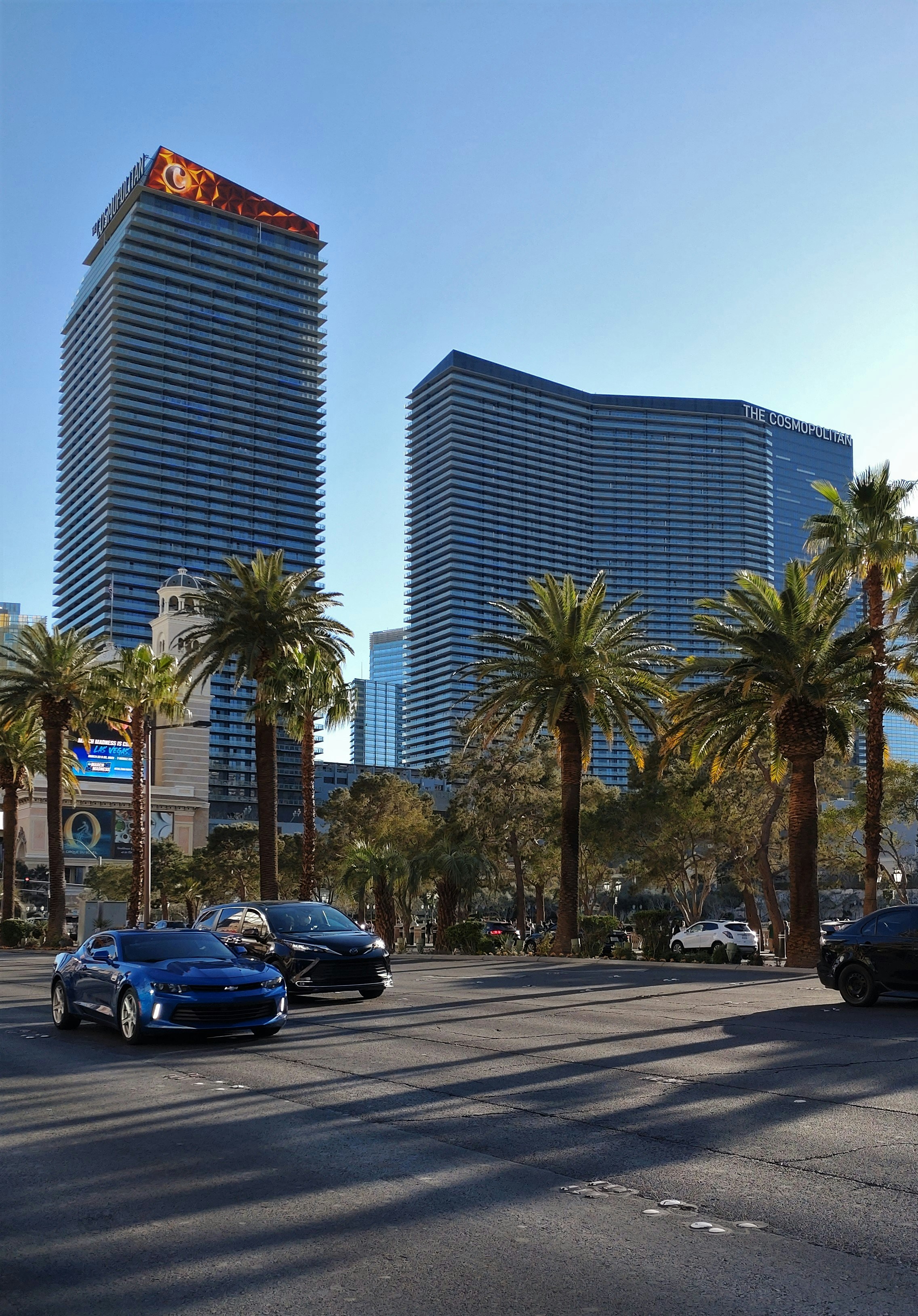 Photo by alexvegas32