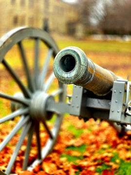 a close up of a cannon in a field of leaves