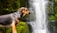 A dog stands in profile against a backdrop of a lush, green waterfall setting. The surroundings are vibrant with moss-covered rocks and cascading water. The dog appears attentive and calm.