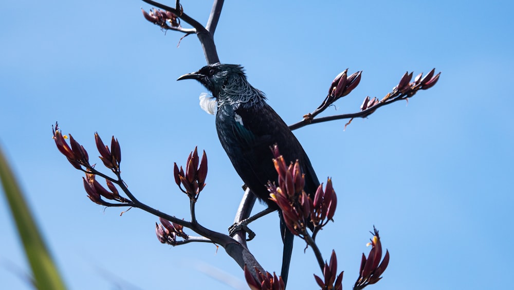 a bird is sitting on a tree branch