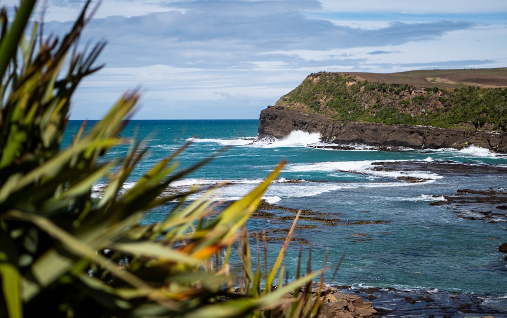 a large body of water next to a lush green hillside