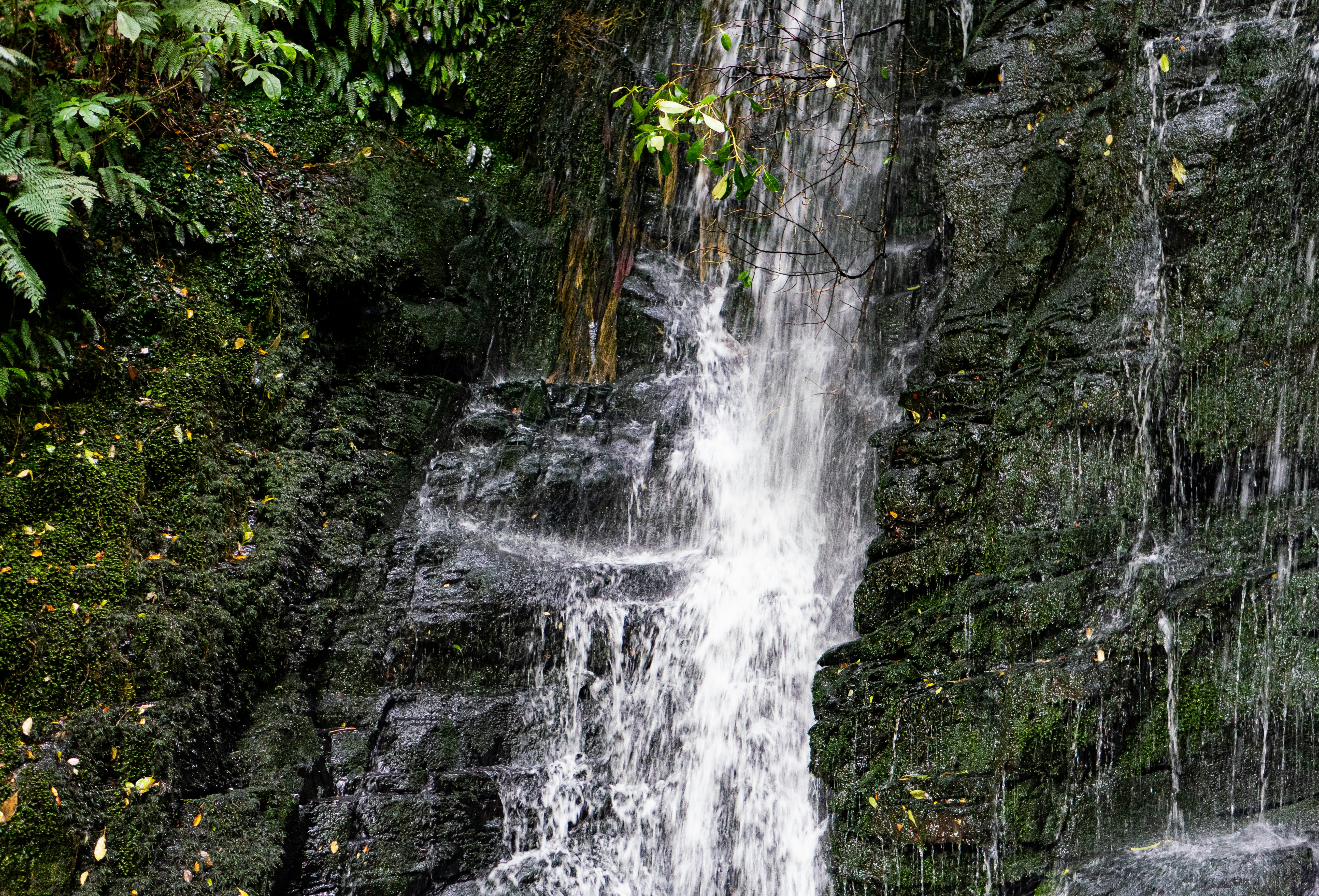 Wallaman Falls Queensland Rainforest Waterfall Hiking