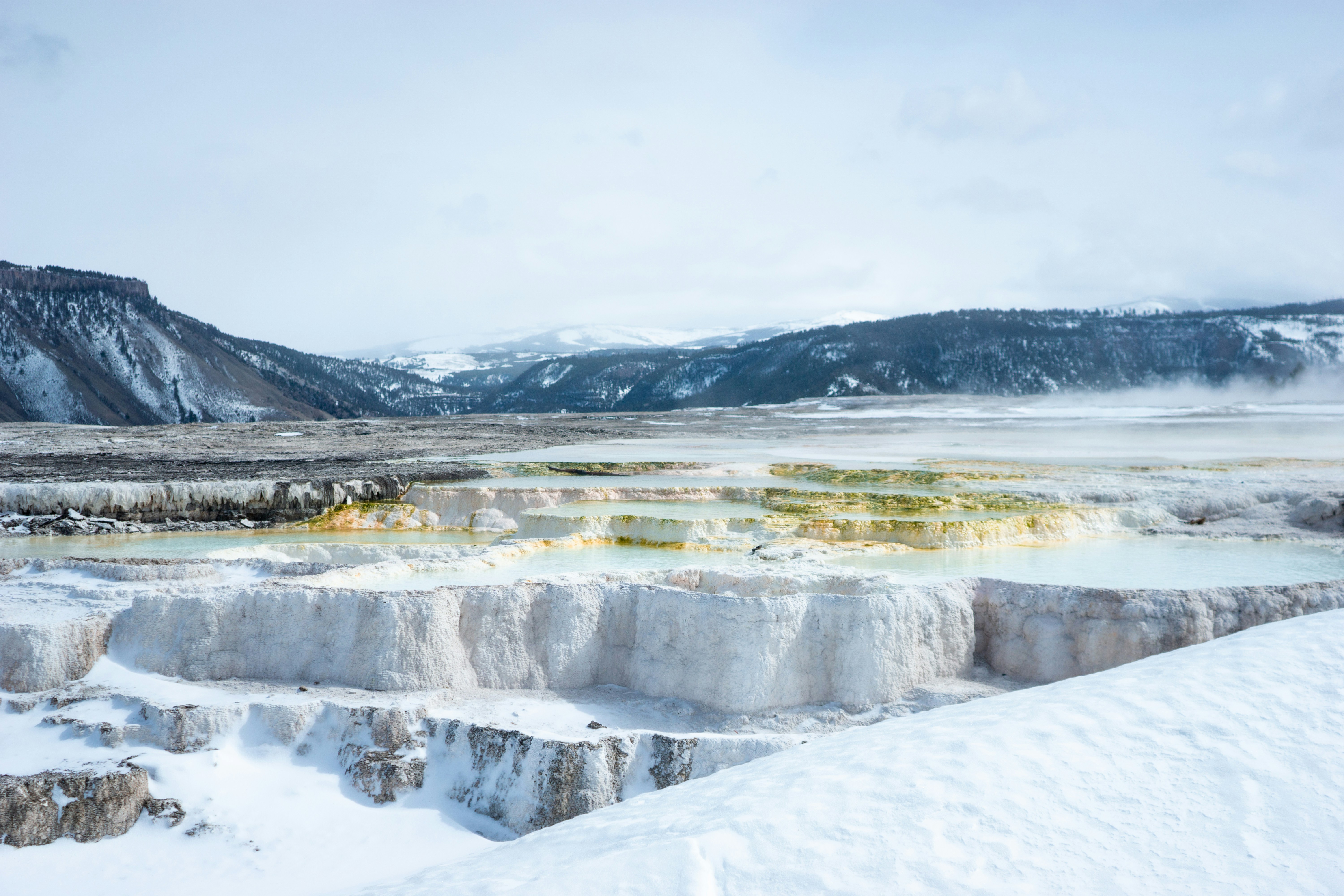 Yellowstone National Park Winter Creator Trip (US)